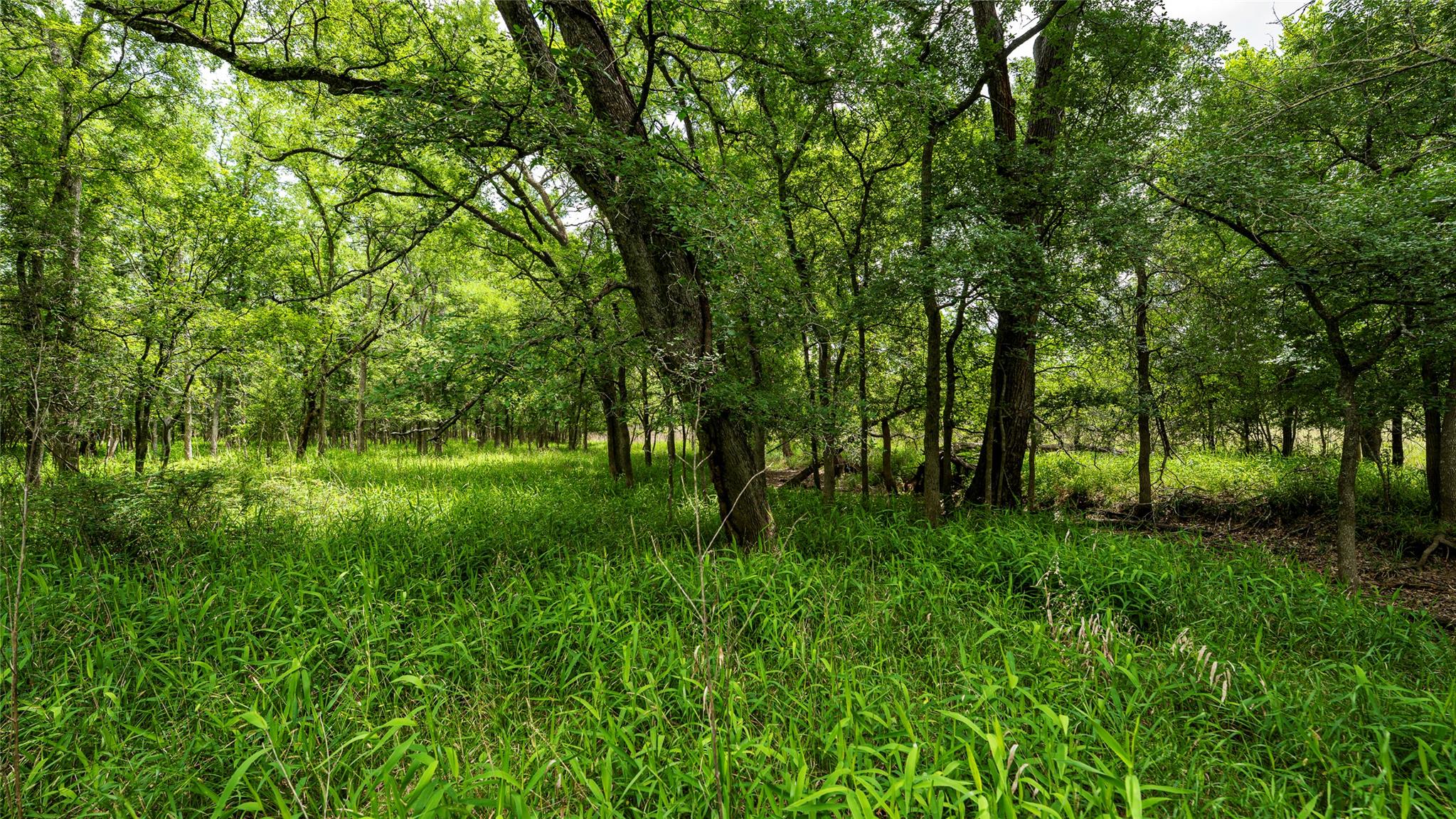 0000 Cr 413 Lexington TX 78947