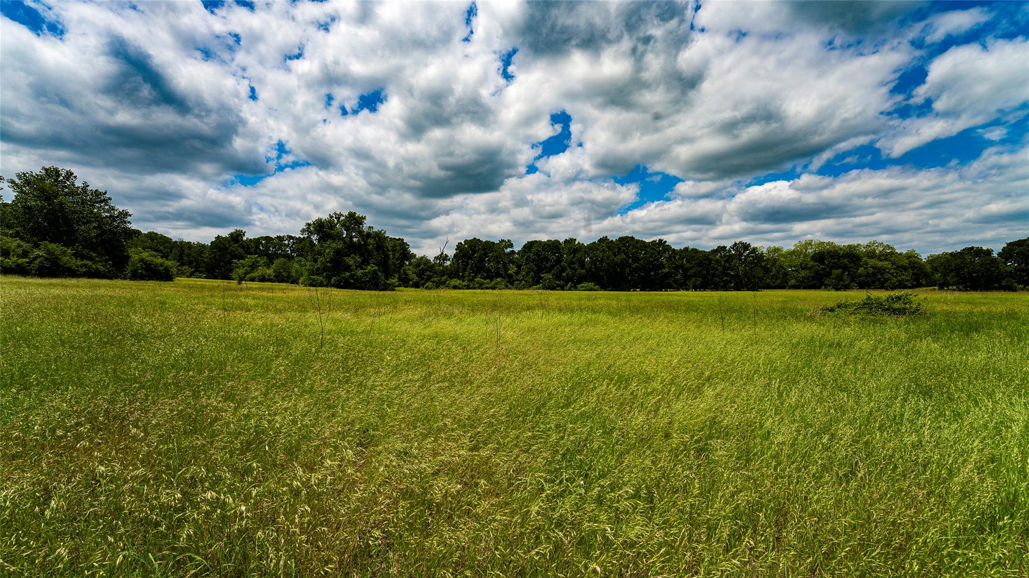 0000 Cr 413 Lexington TX 78947