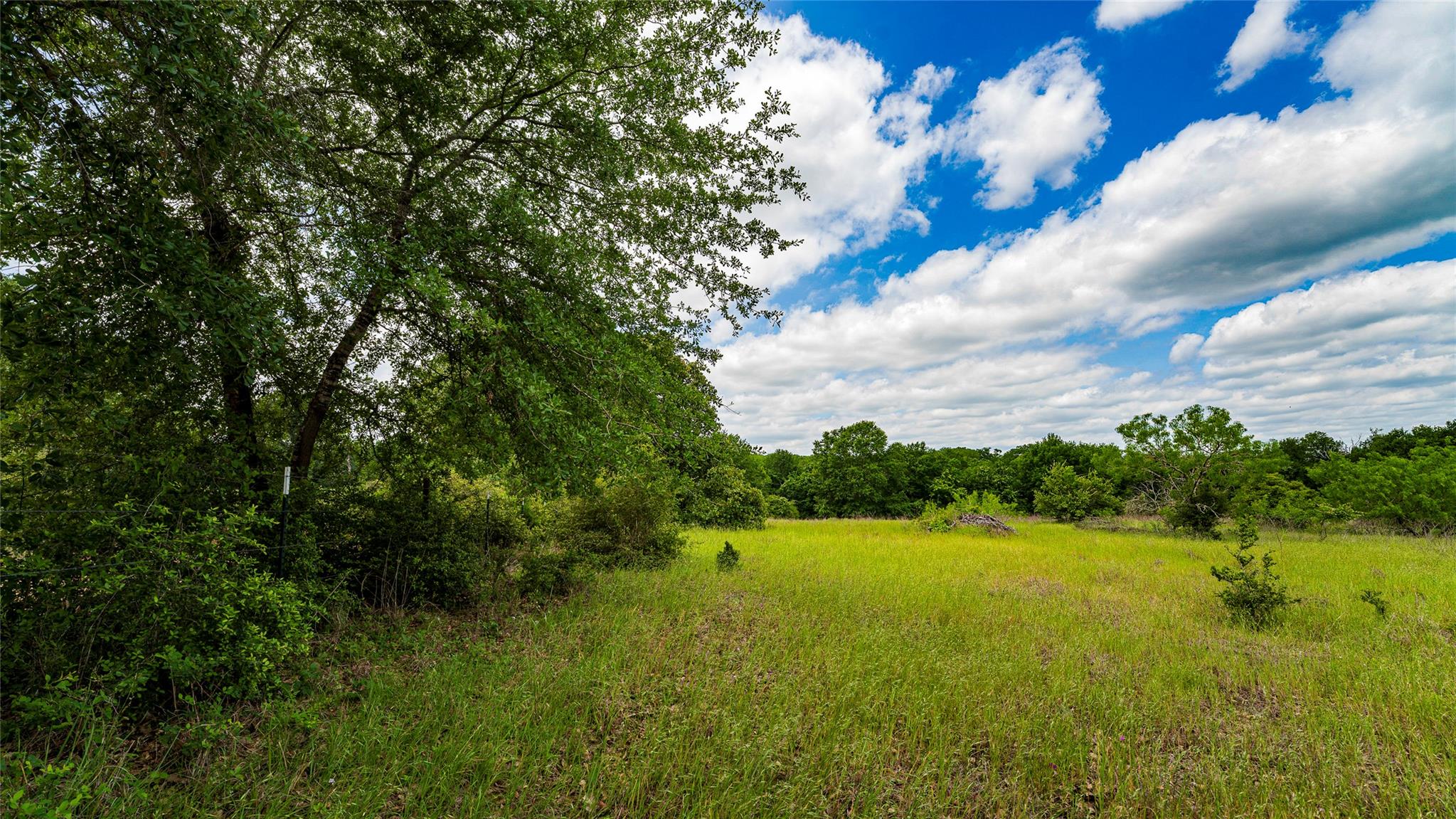 0000 Cr 413 Lexington TX 78947