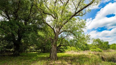 0000 Cr 413 Lexington TX 78947