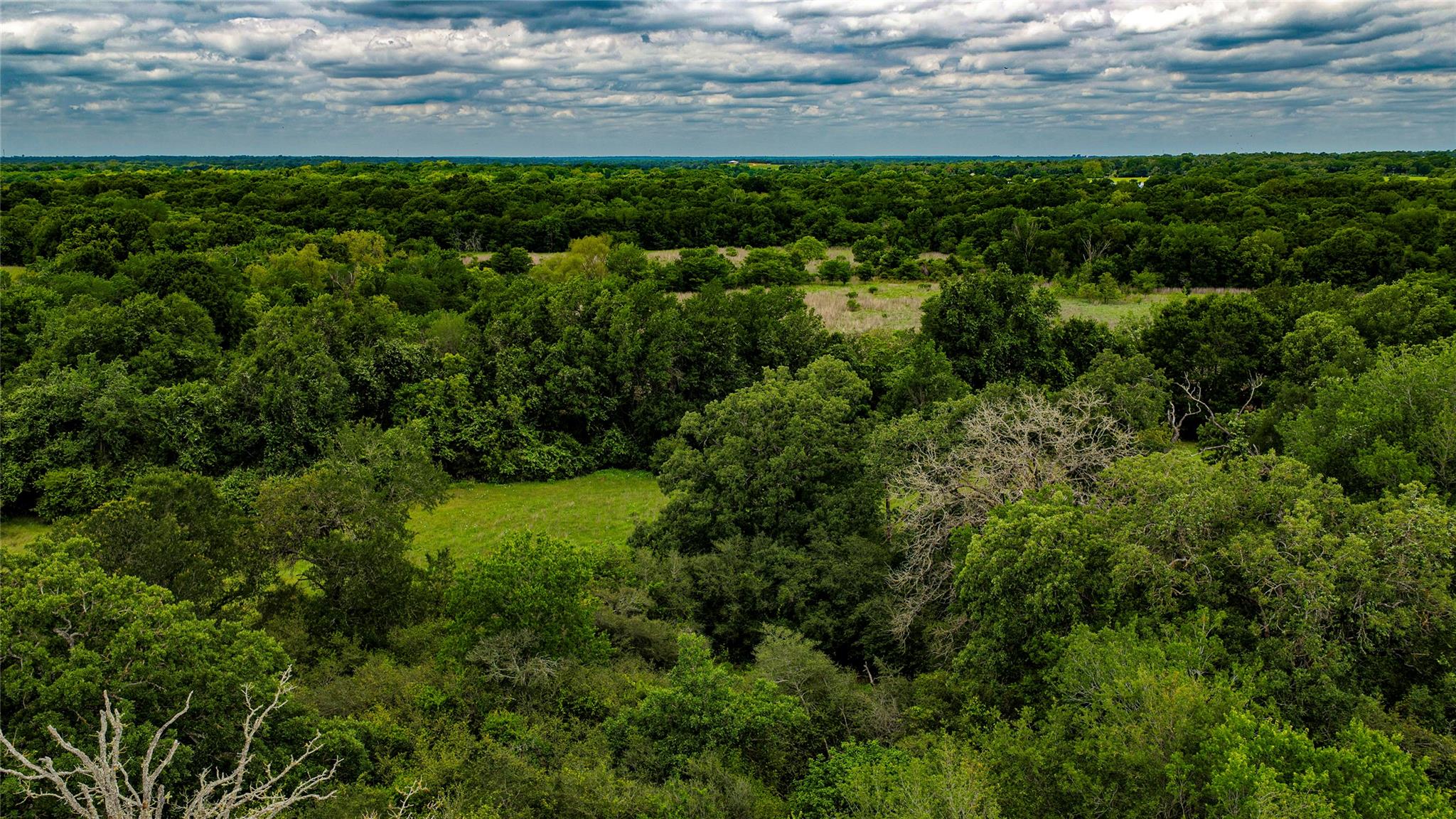 0000 Cr 413 Lexington TX 78947