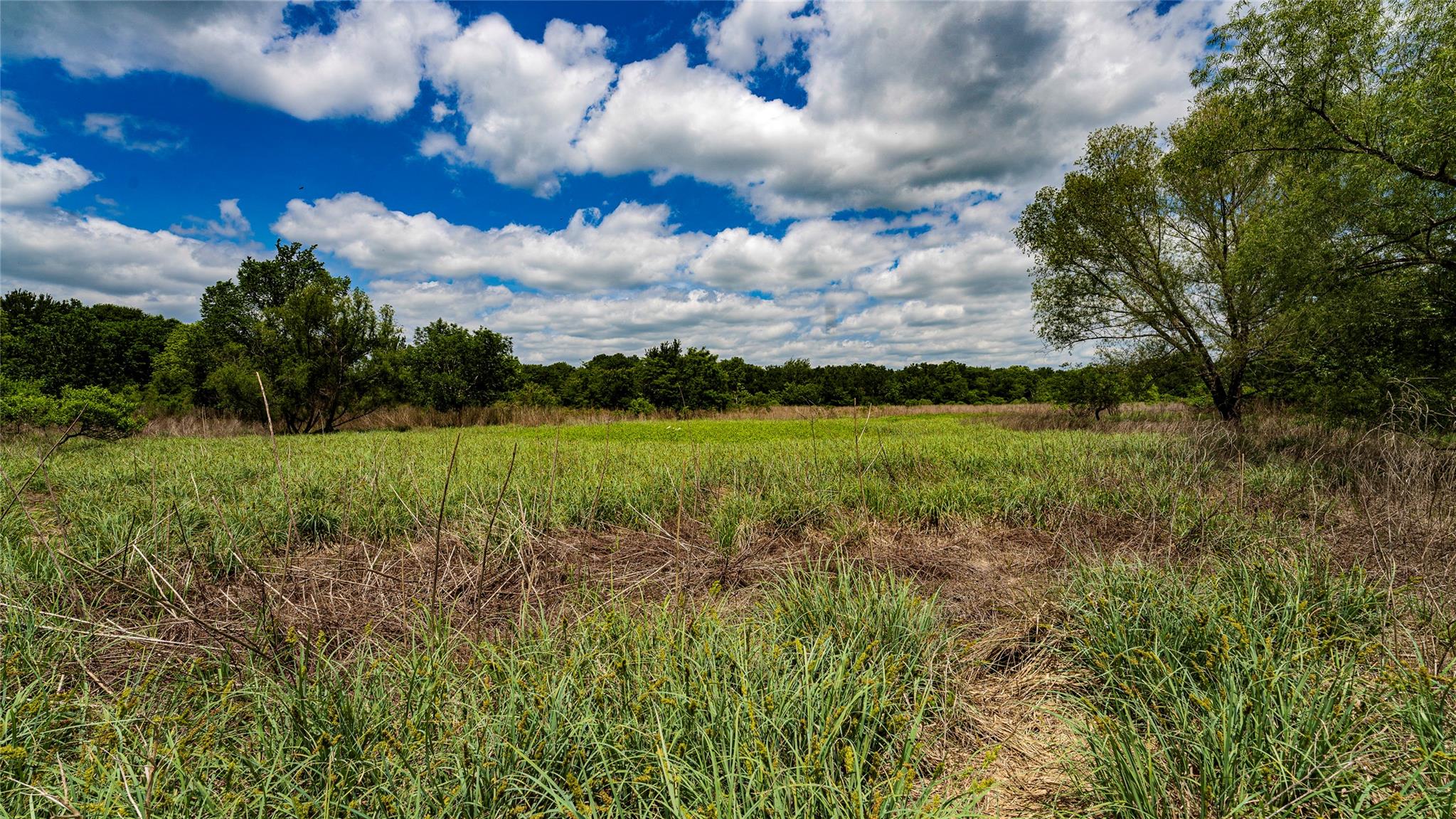 0000 Cr 413 Lexington TX 78947