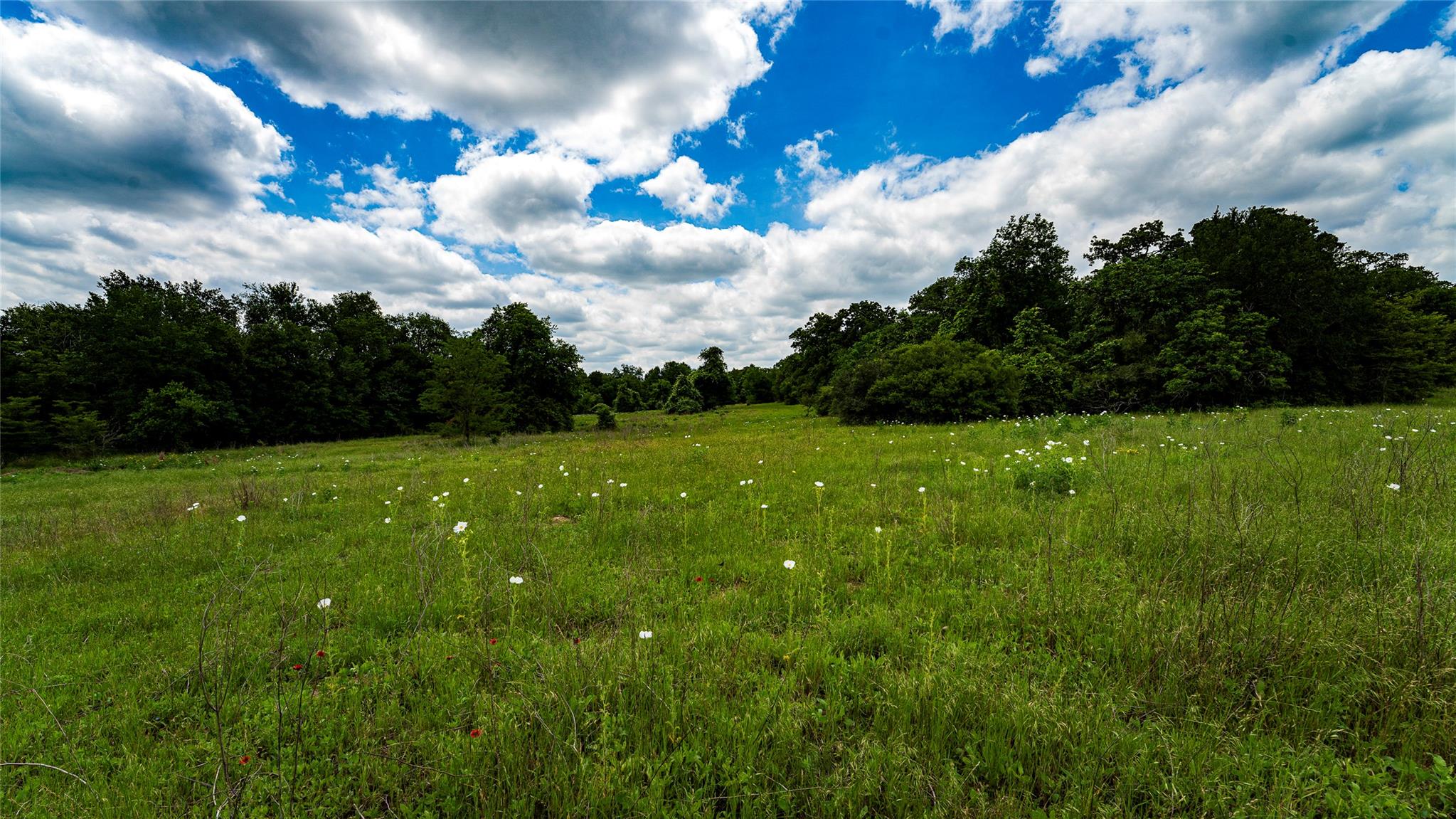0000 Cr 413 Lexington TX 78947