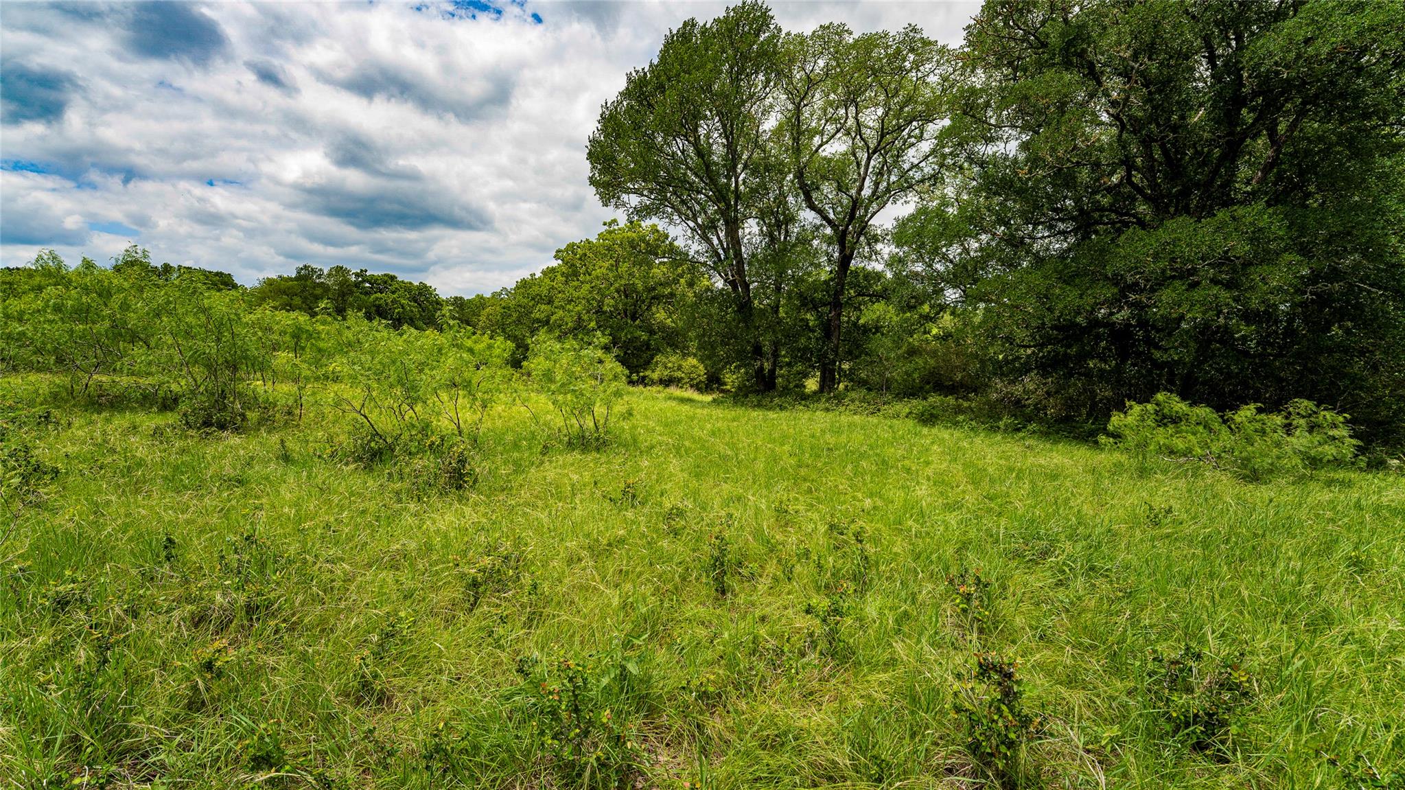0000 Cr 413 Lexington TX 78947