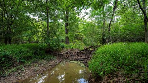 0000 Cr 413 Lexington TX 78947