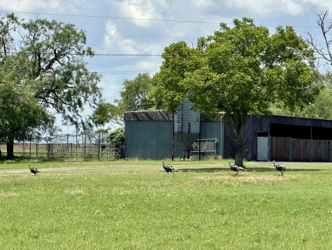 10745 & 10767 Rosemar Lane Lane Adkins TX 78101