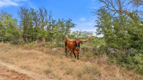 3503 Althaus-davis Road Fredericksburg TX 78624