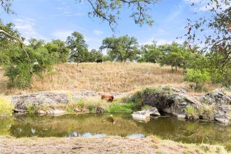 3503 Althaus-davis Road Fredericksburg TX 78624