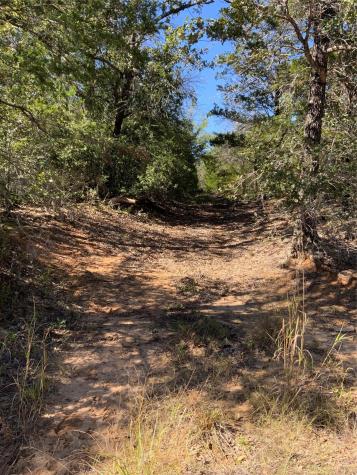 000 County Road 304 Lexington TX 78947