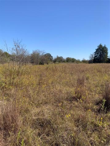 000 County Road 304 Lexington TX 78947