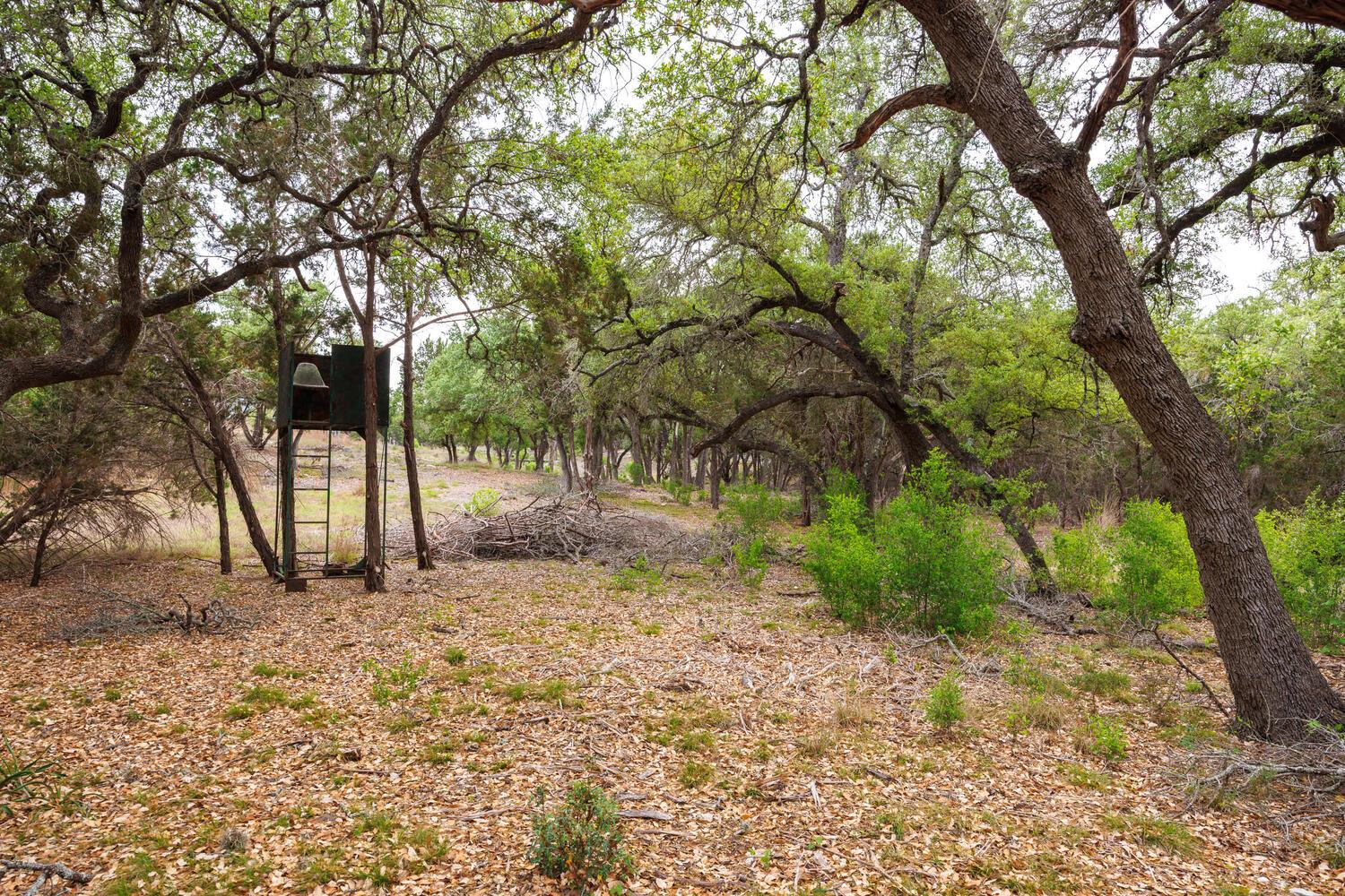 3487 Rust Spring Branch TX 78070