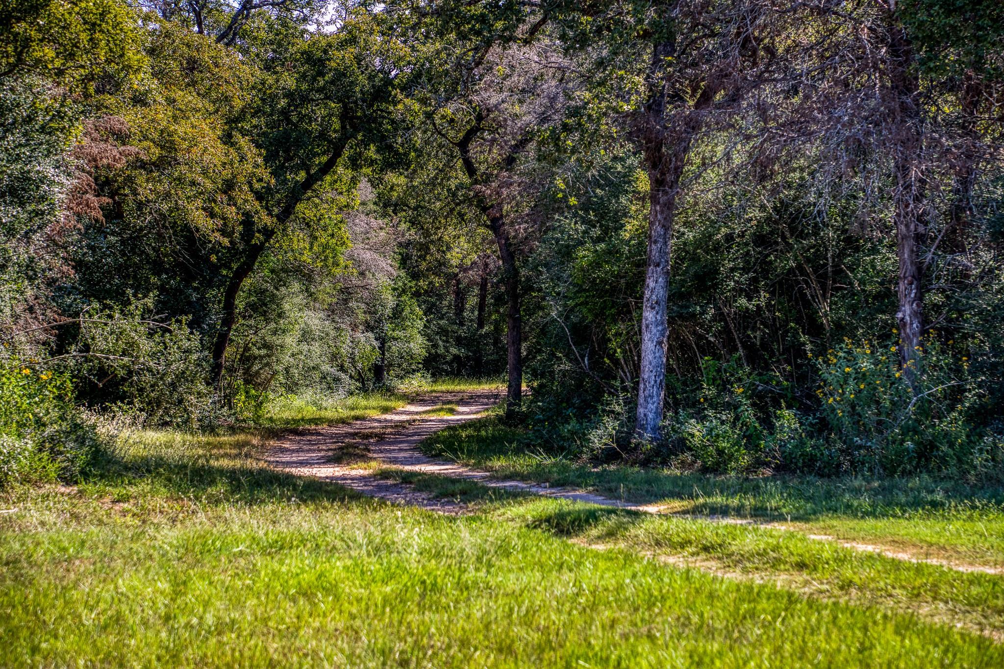 3336 County Road 326 Lexington TX 78947