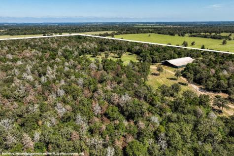 3336 County Road 326 Lexington TX 78947