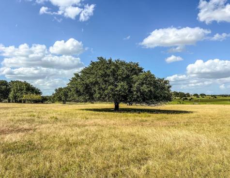 1220 County Road 225 Briggs TX 78608