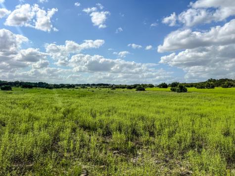 1220 County Road 225 Briggs TX 78608