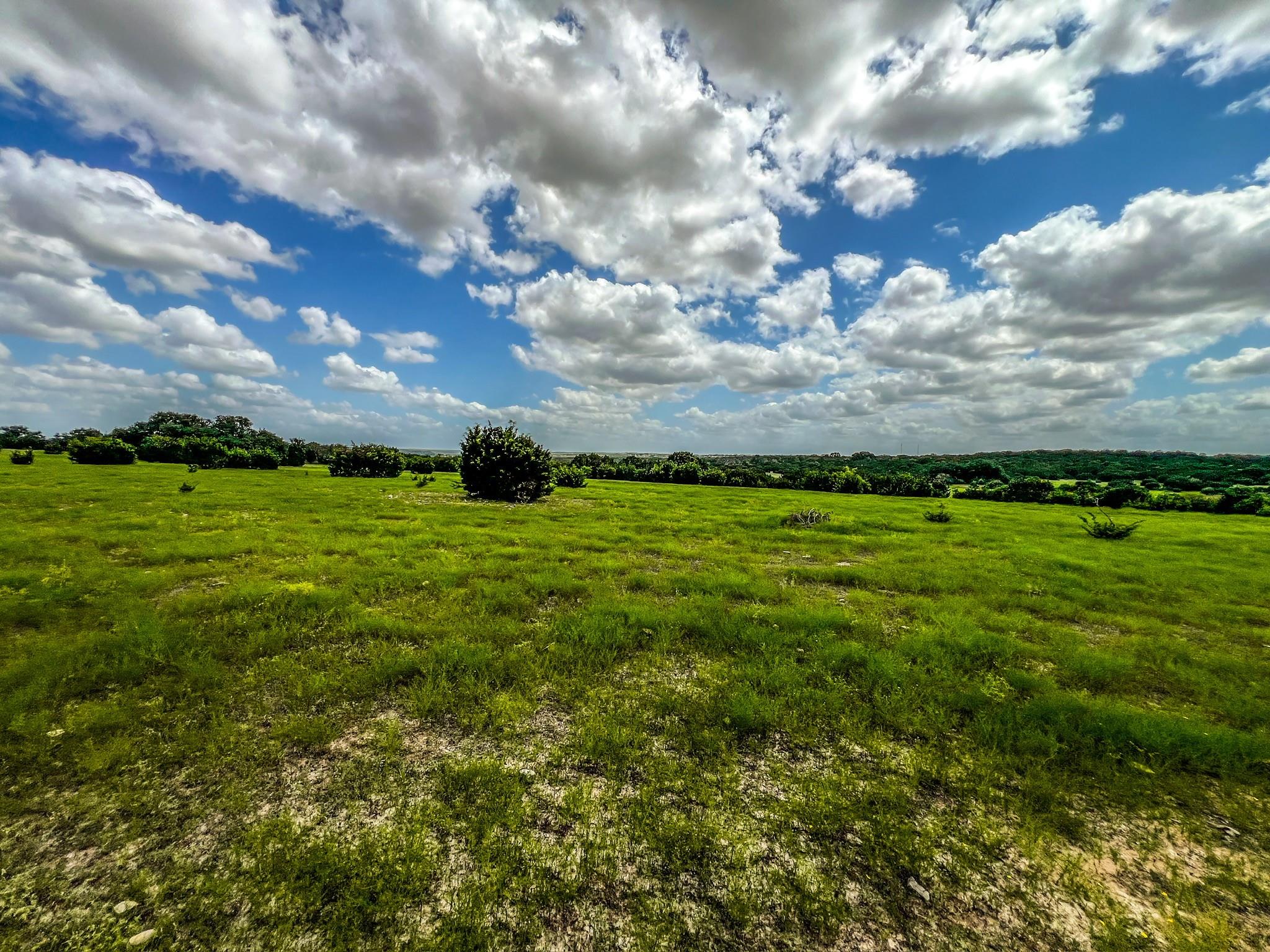 1220 County Road 225 Briggs TX 78608