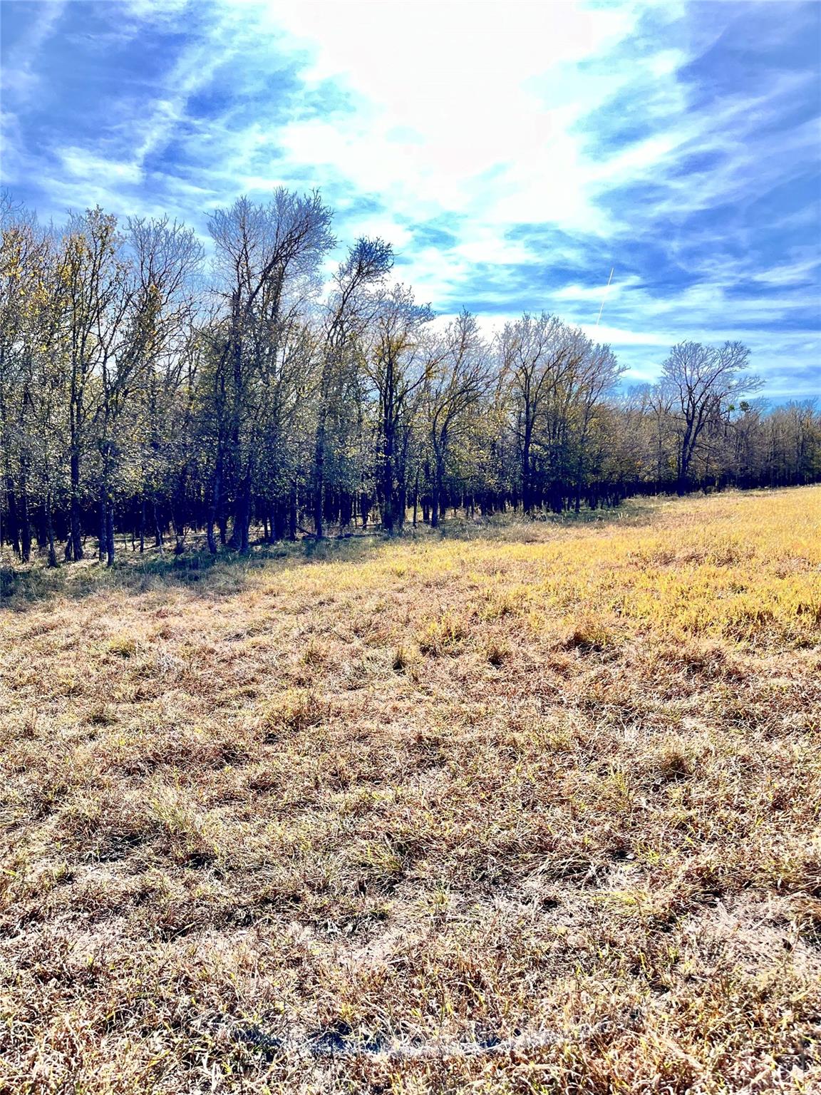674 County Road 309 Rockdale TX 76567