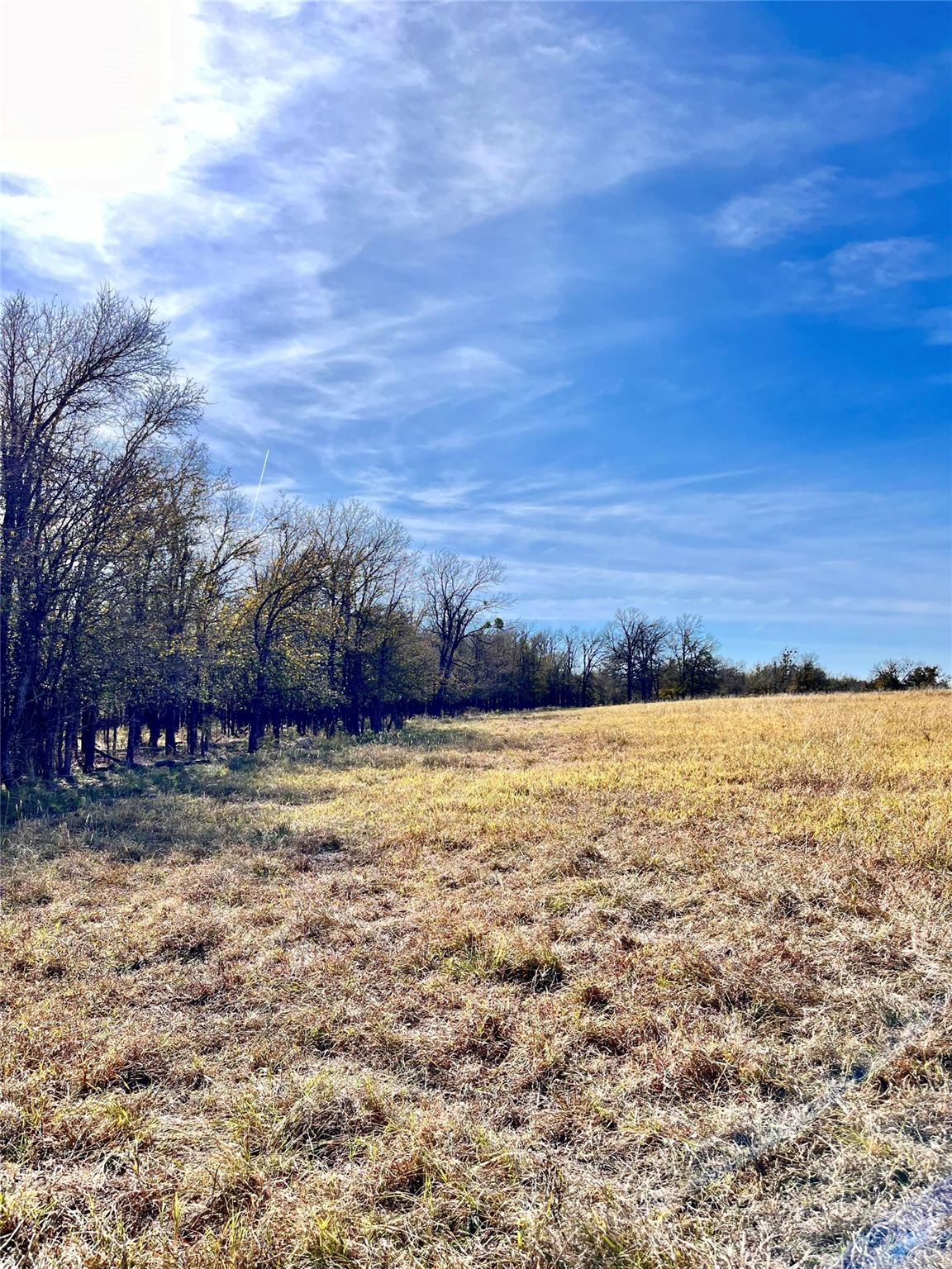 674 County Road 309 Rockdale TX 76567