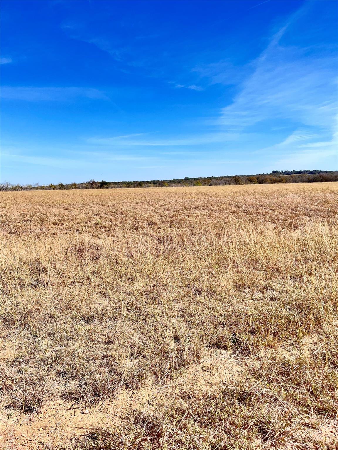 674 County Road 309 Rockdale TX 76567