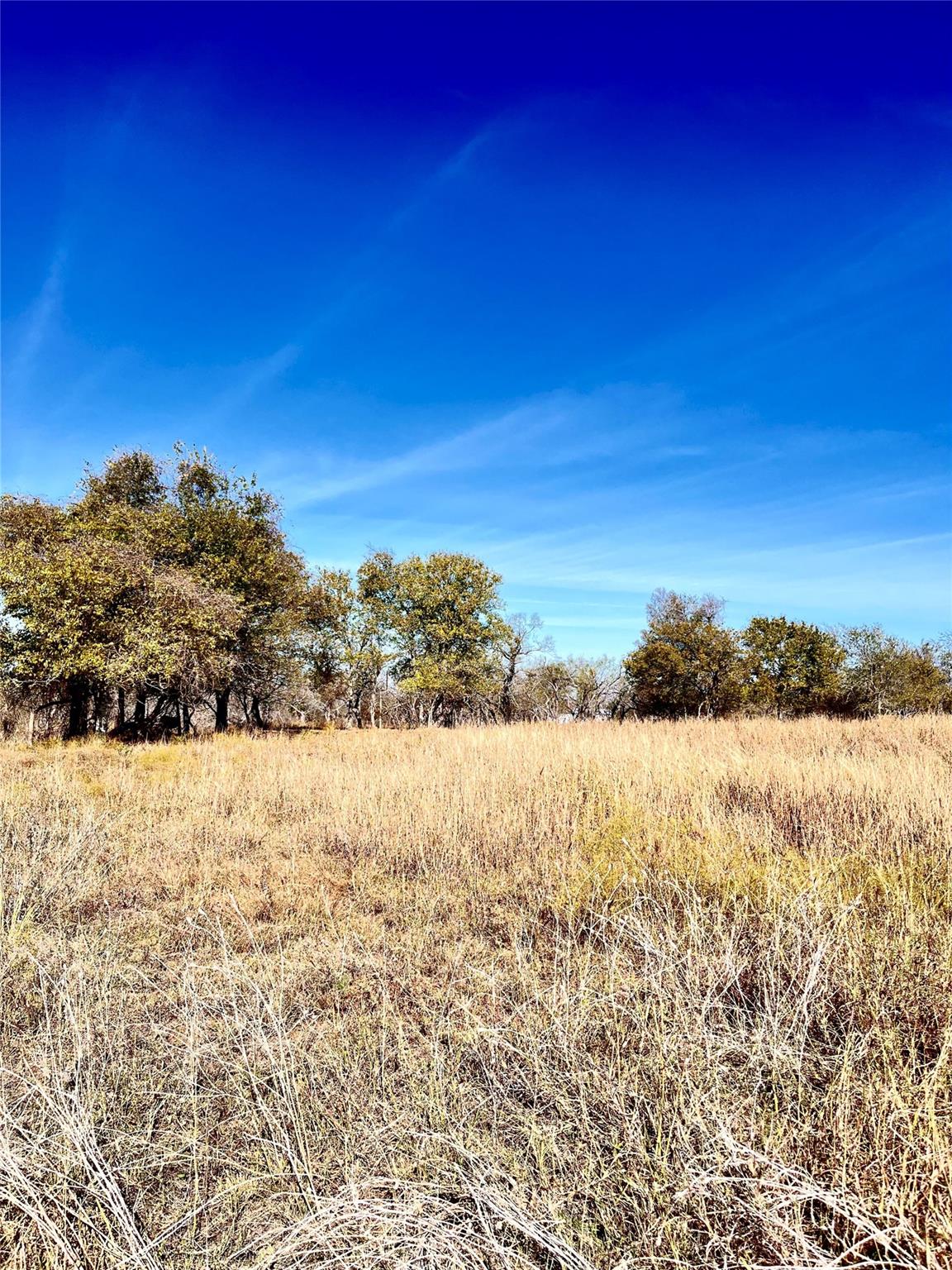 674 County Road 309 Rockdale TX 76567
