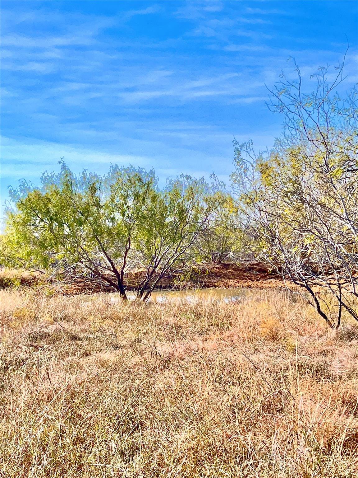 674 County Road 309 Rockdale TX 76567