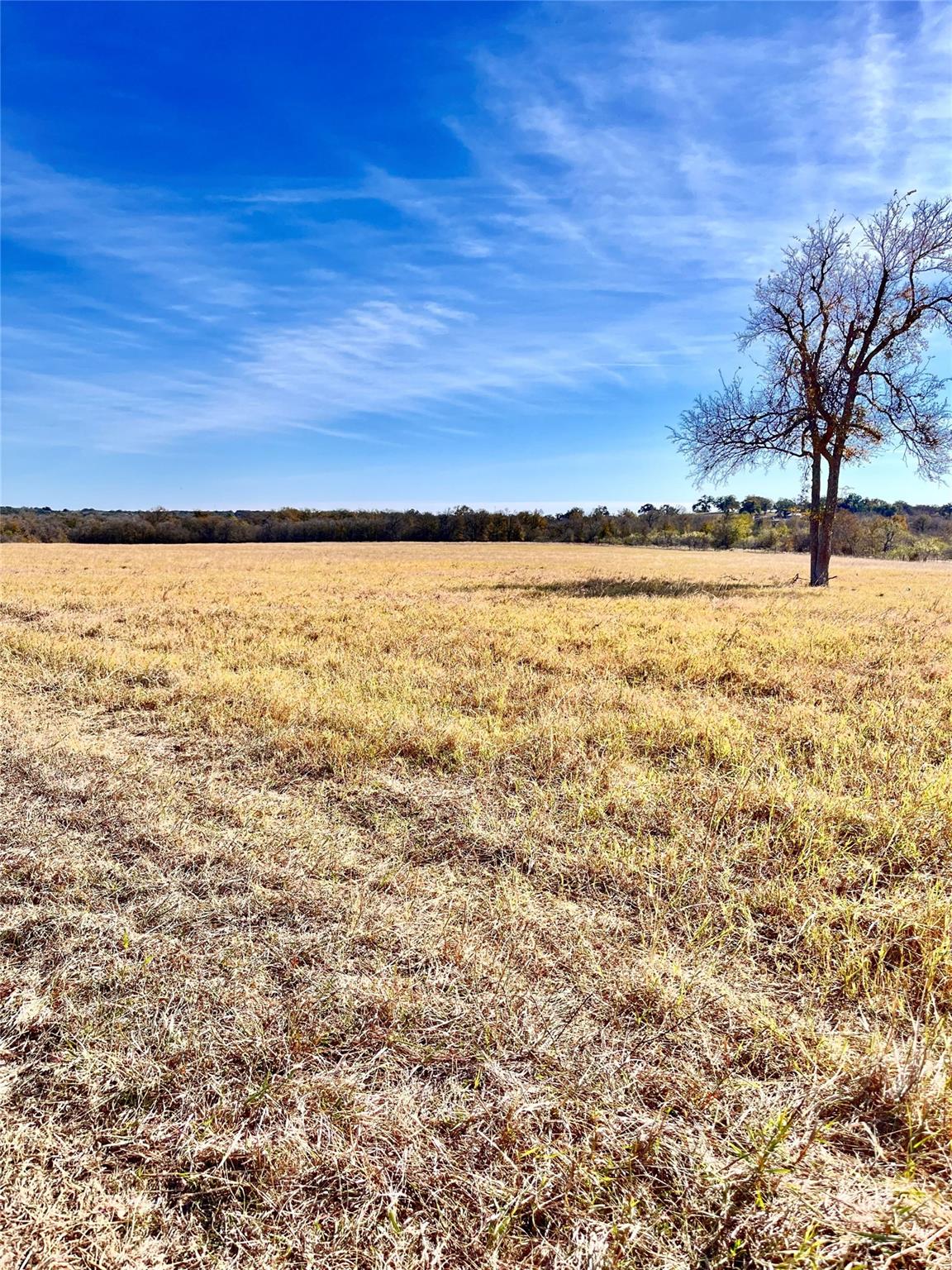 674 County Road 309 Rockdale TX 76567