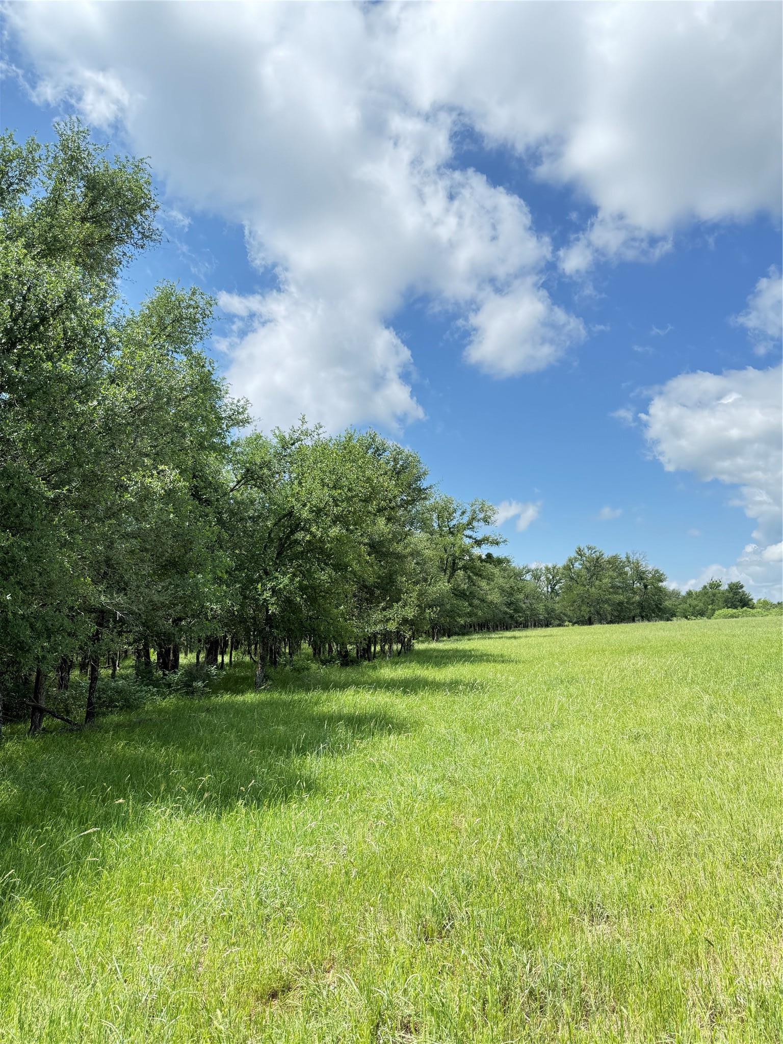 674 County Road 309 Rockdale TX 76567