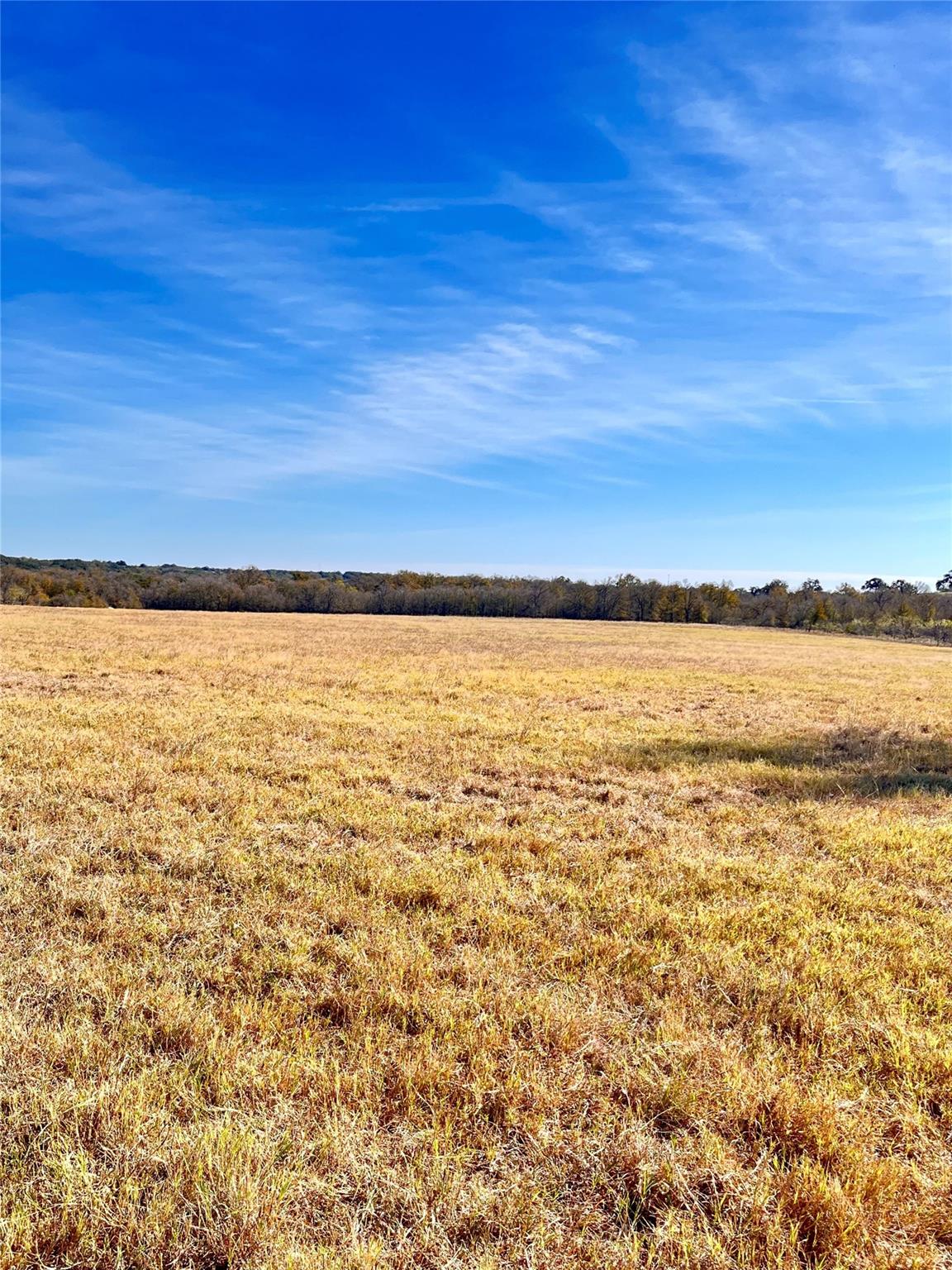 674 County Road 309 Rockdale TX 76567