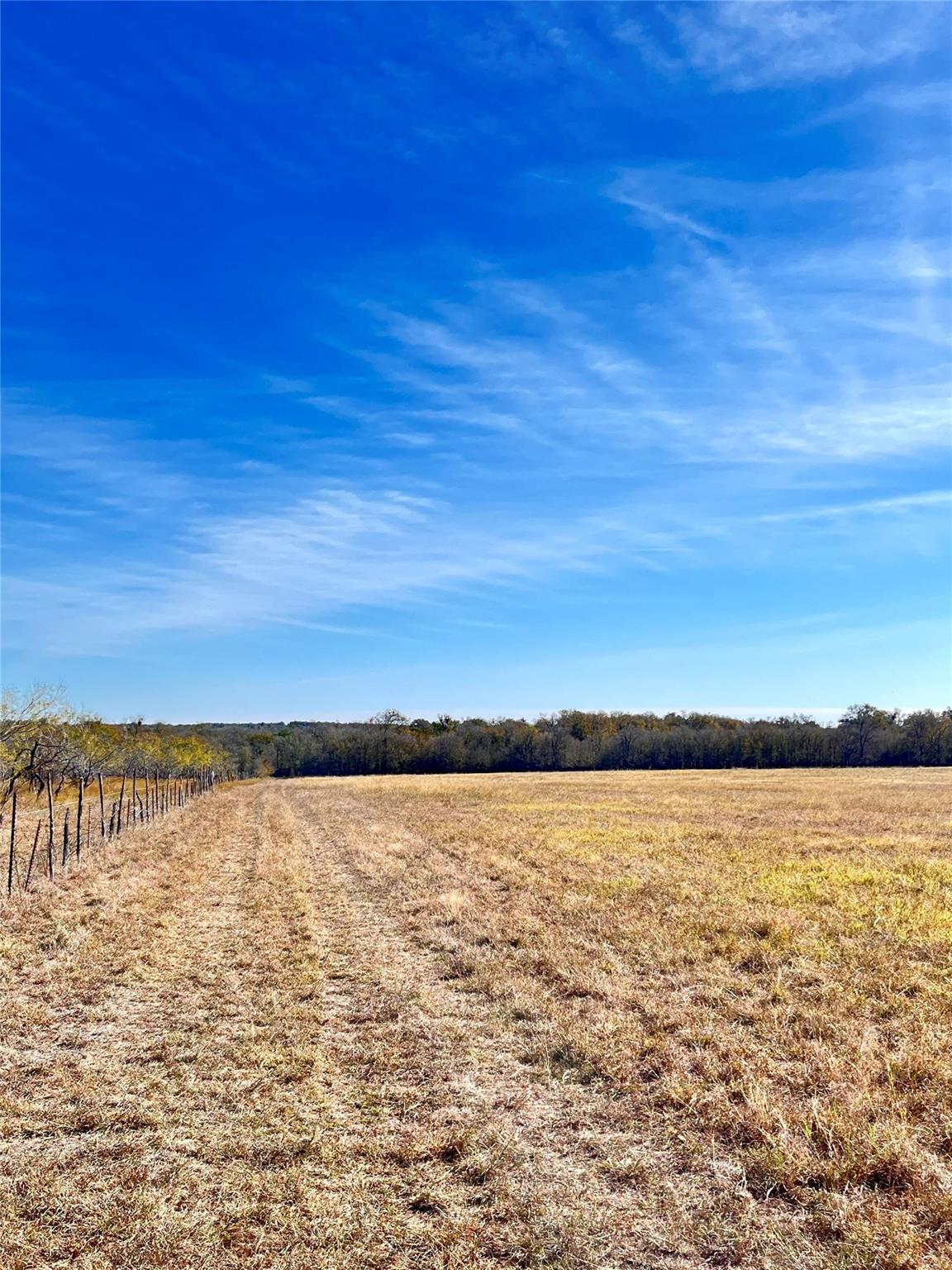 674 County Road 309 Rockdale TX 76567