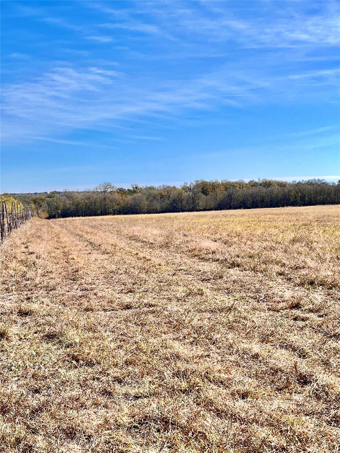 674 County Road 309 Rockdale TX 76567