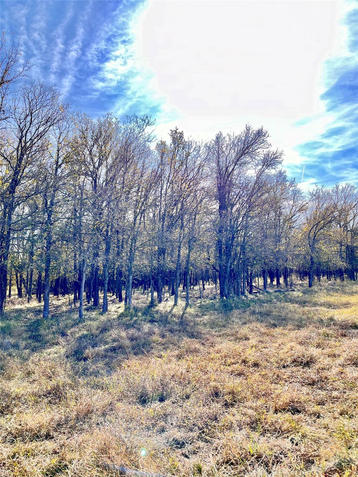 674 County Road 309 Rockdale TX 76567