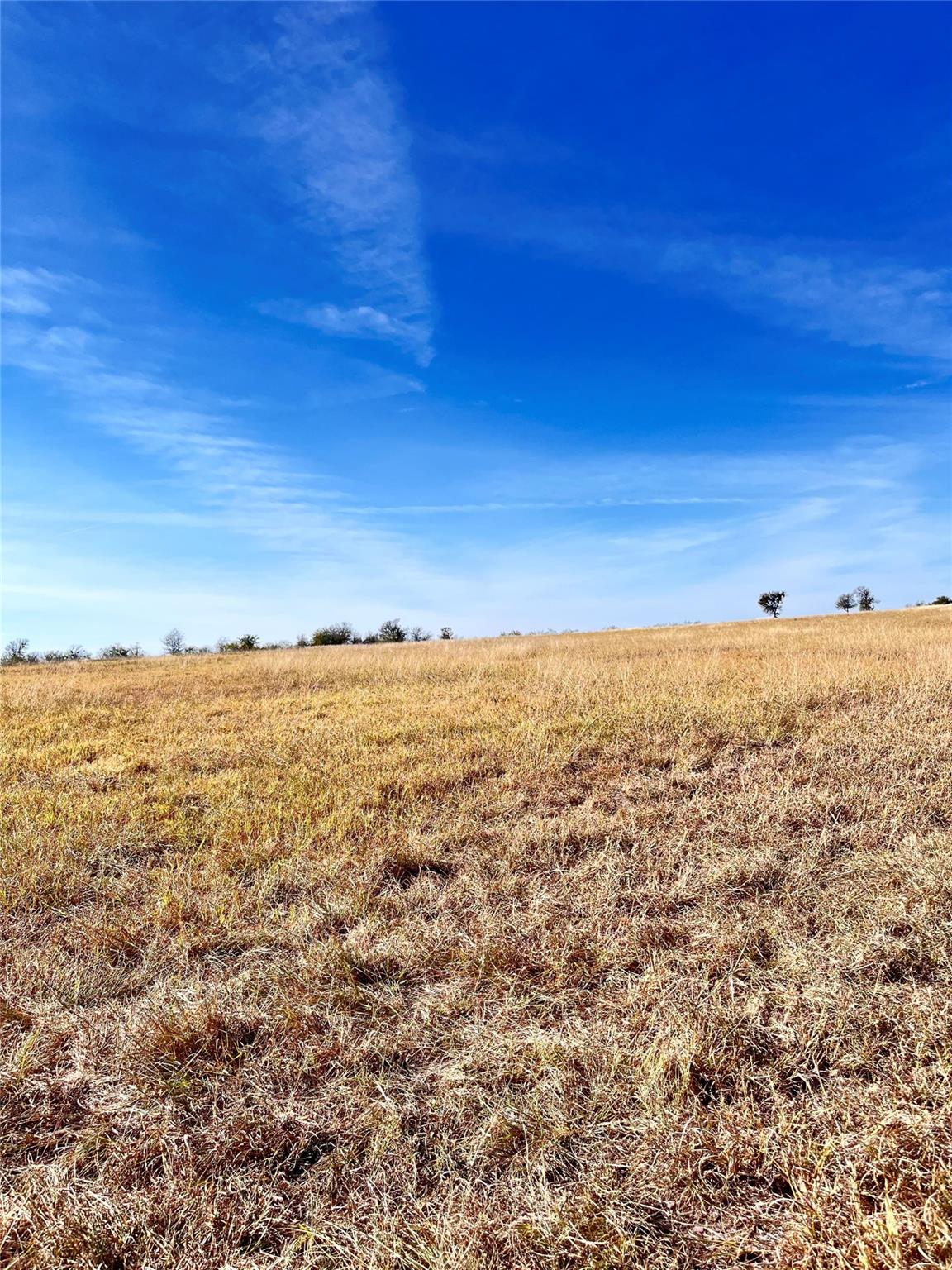 674 County Road 309 Rockdale TX 76567