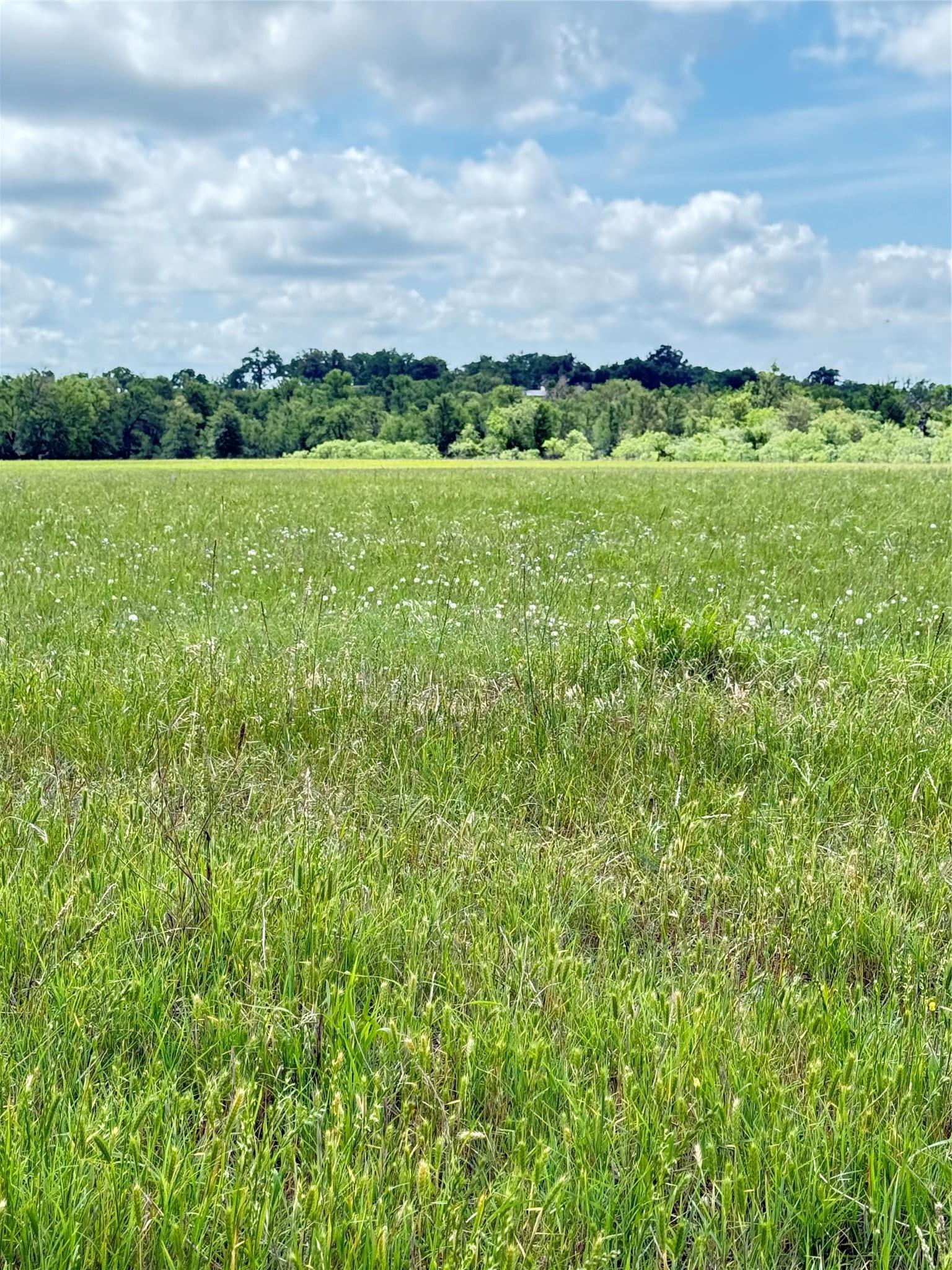 674 County Road 309 Rockdale TX 76567