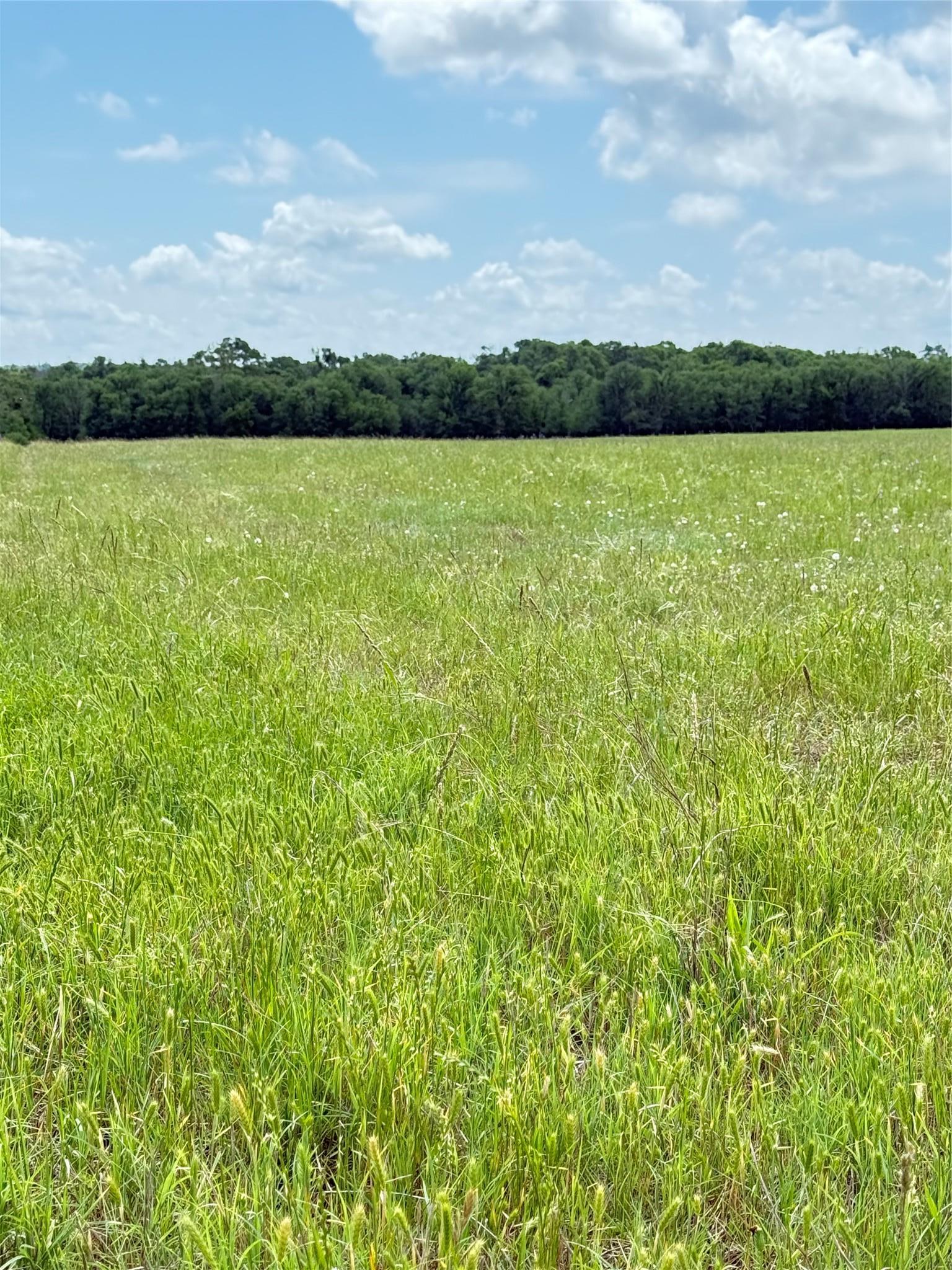 674 County Road 309 Rockdale TX 76567