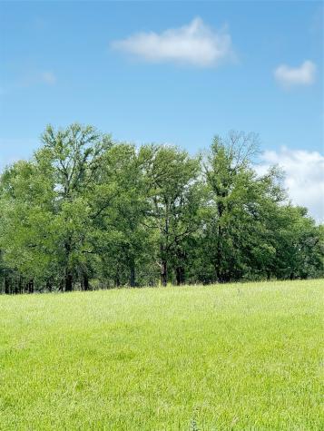 674 County Road 309 Rockdale TX 76567