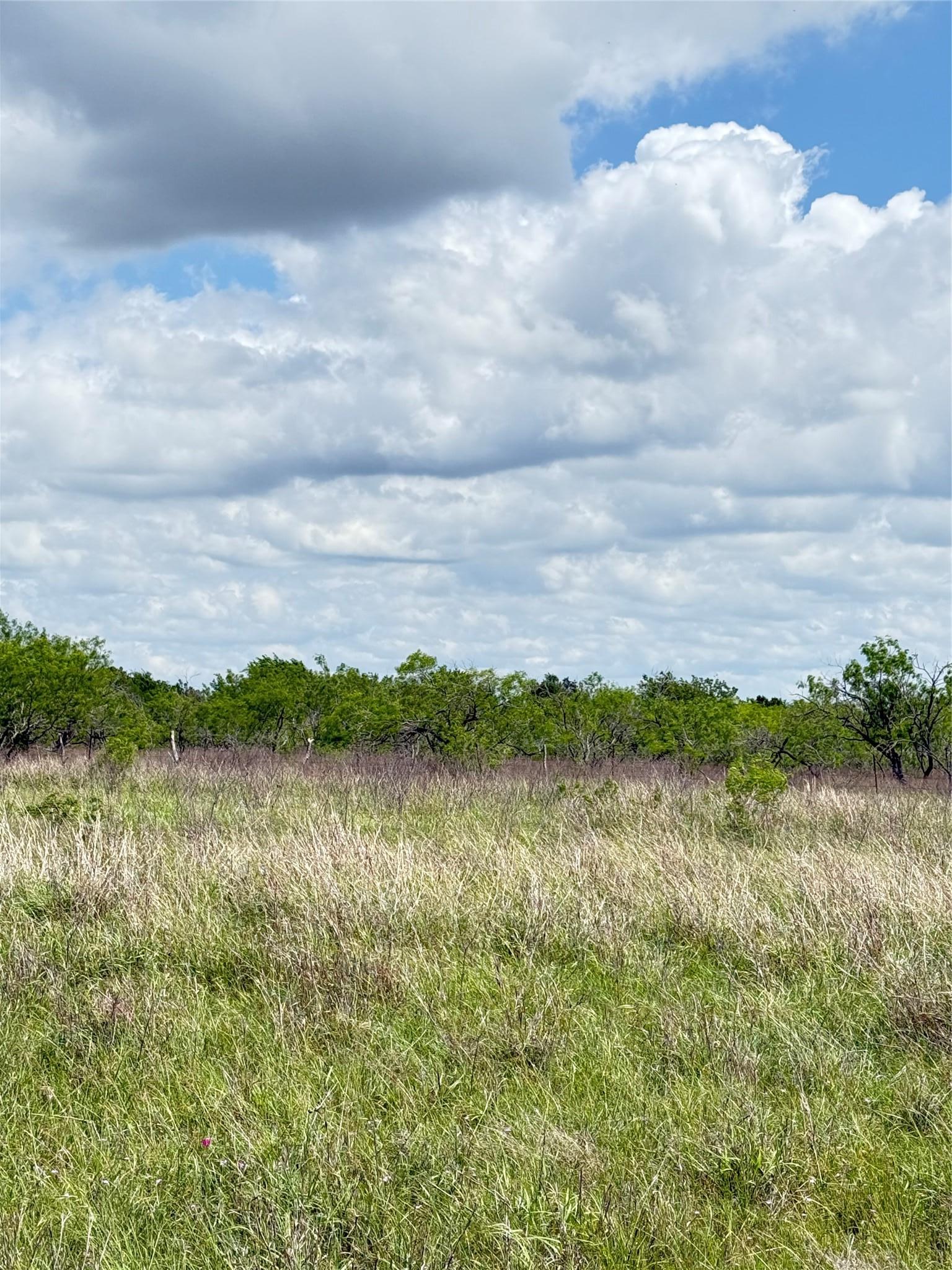 674 County Road 309 Rockdale TX 76567