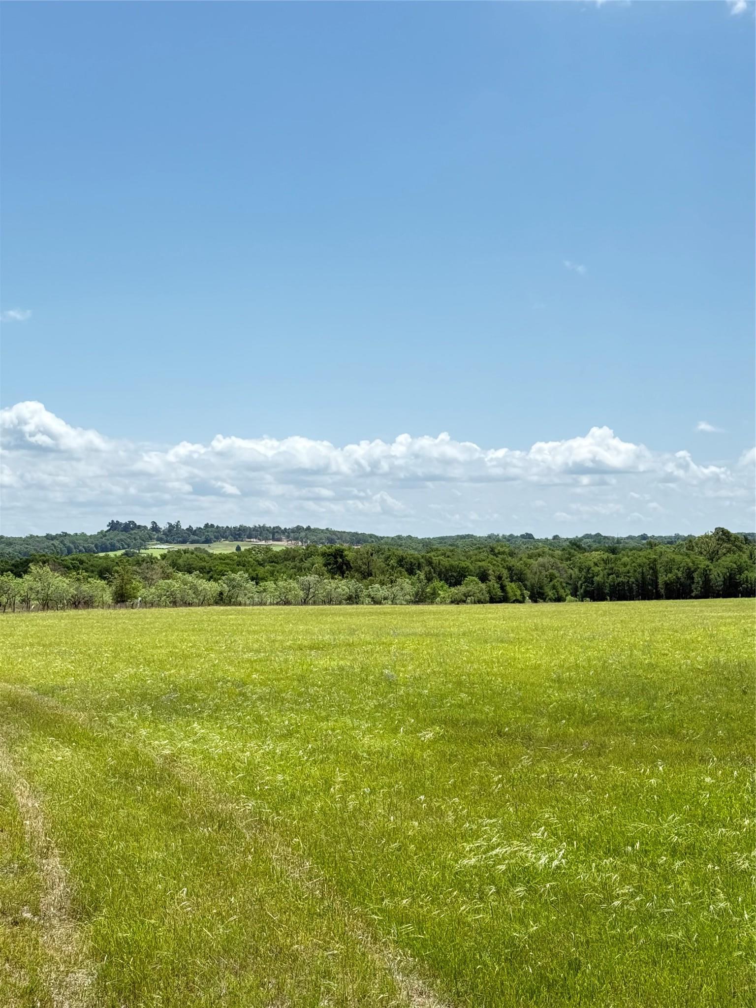 674 County Road 309 Rockdale TX 76567