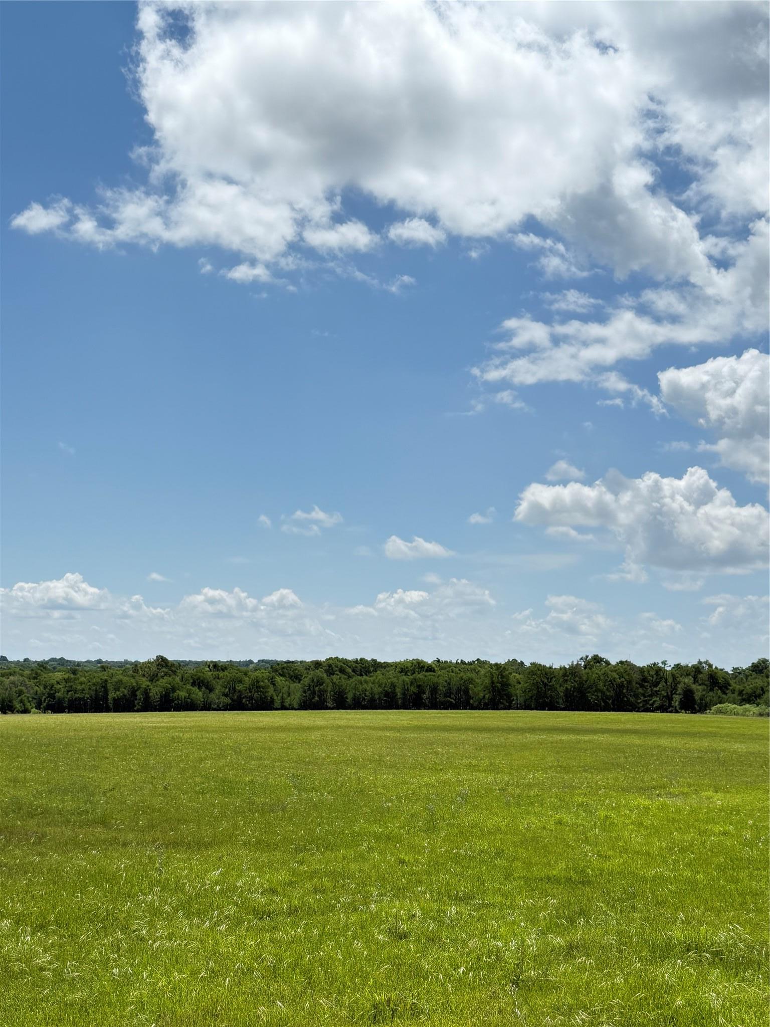 674 County Road 309 Rockdale TX 76567