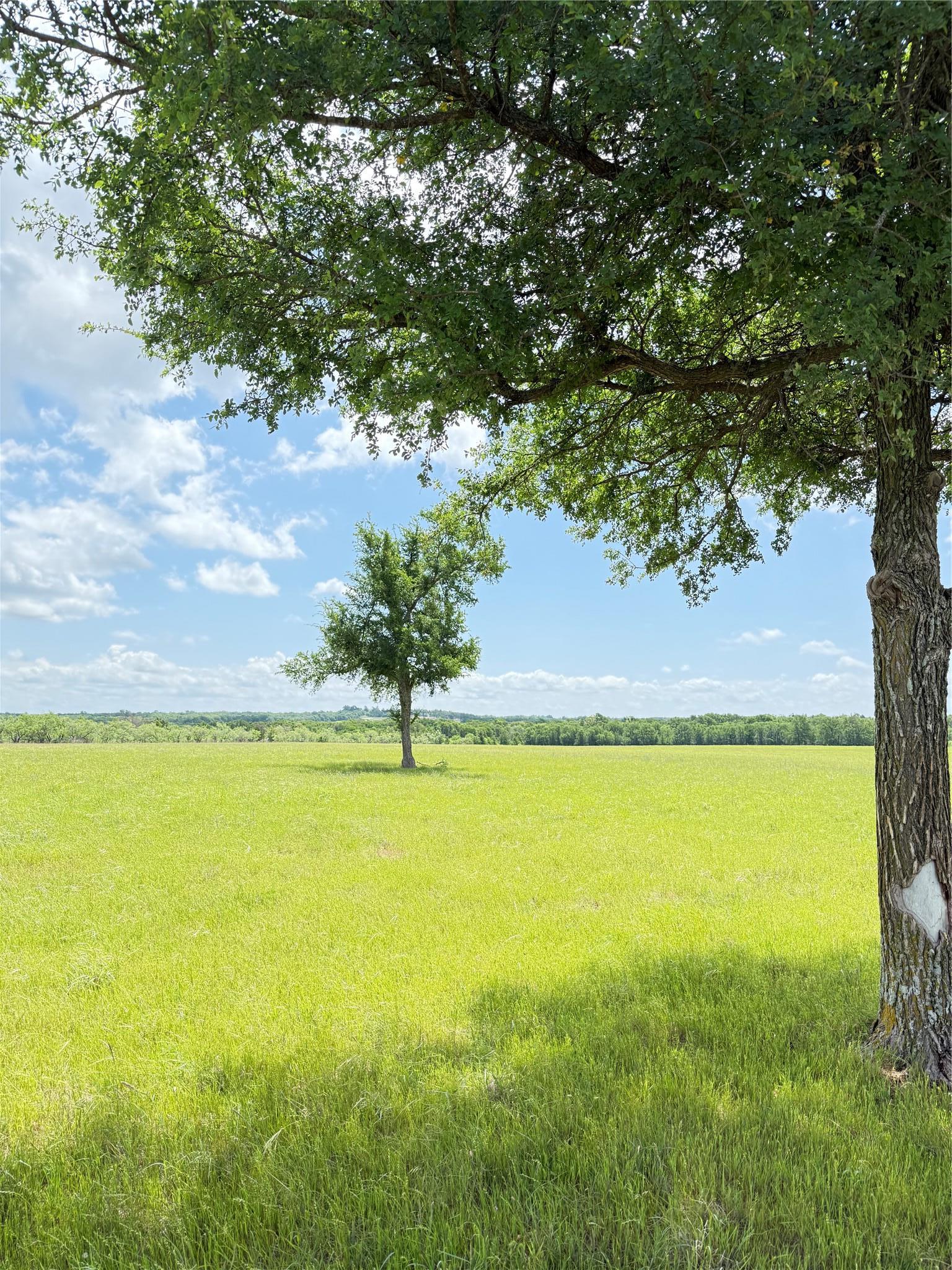 674 County Road 309 Rockdale TX 76567