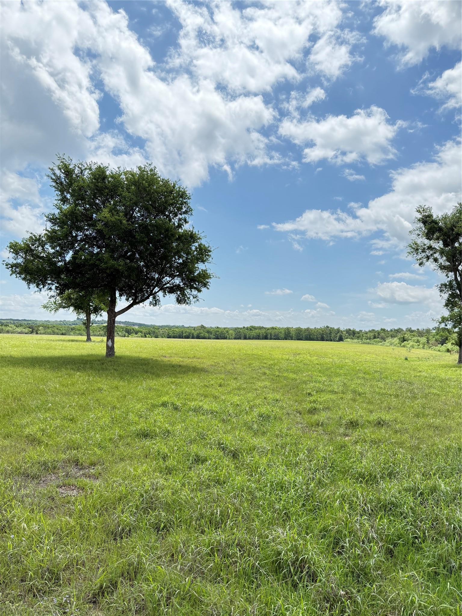 674 County Road 309 Rockdale TX 76567