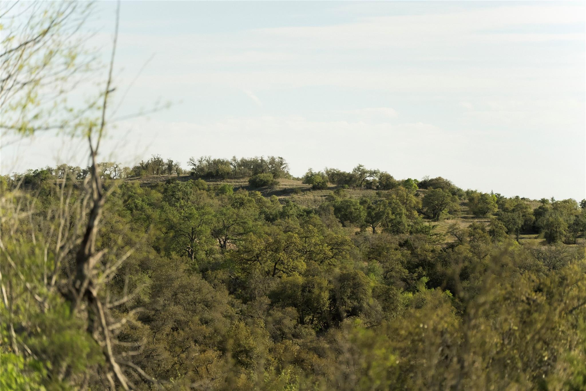 157 Chick Ranch Loop Blanco TX 78606