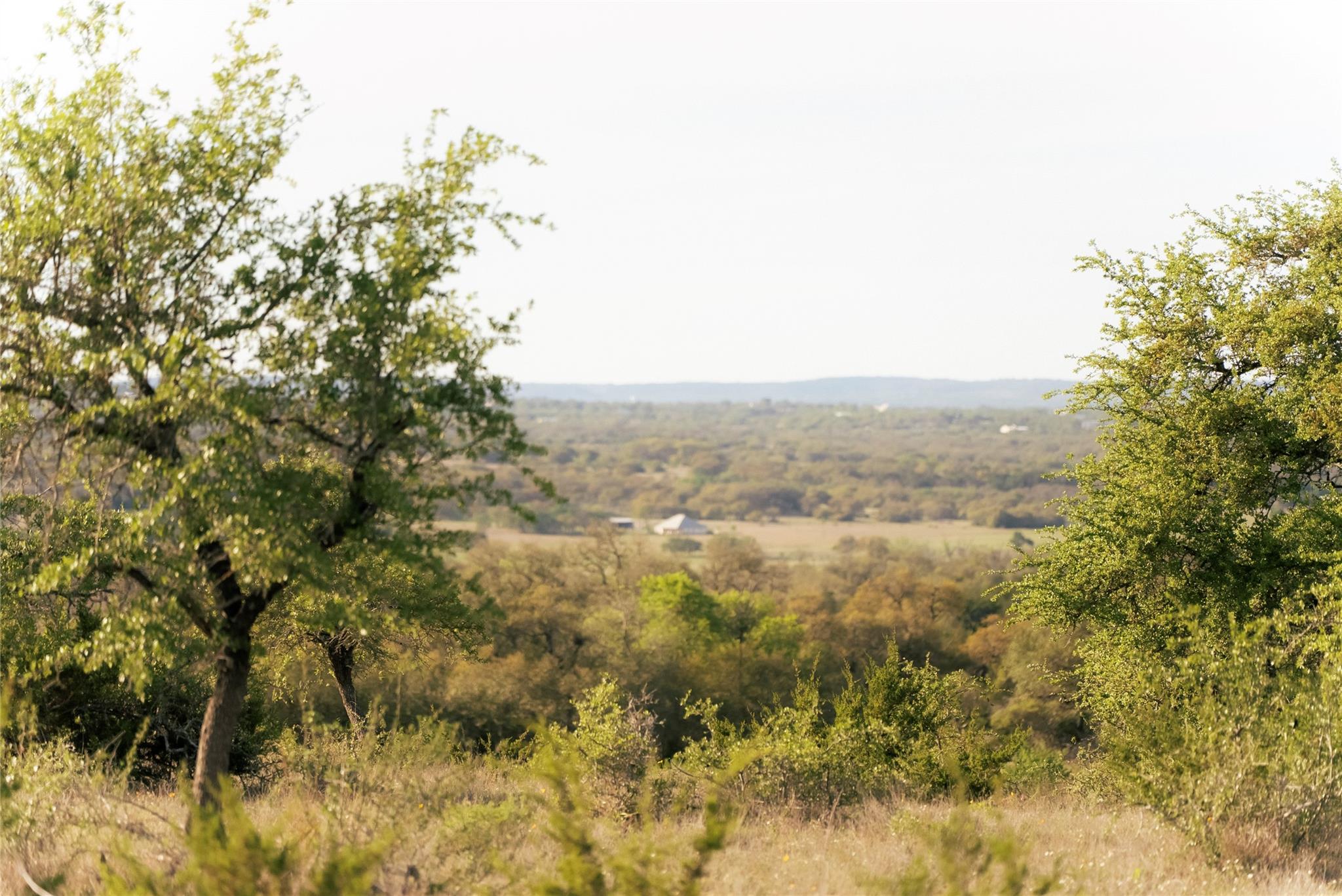 157 Chick Ranch Loop Blanco TX 78606