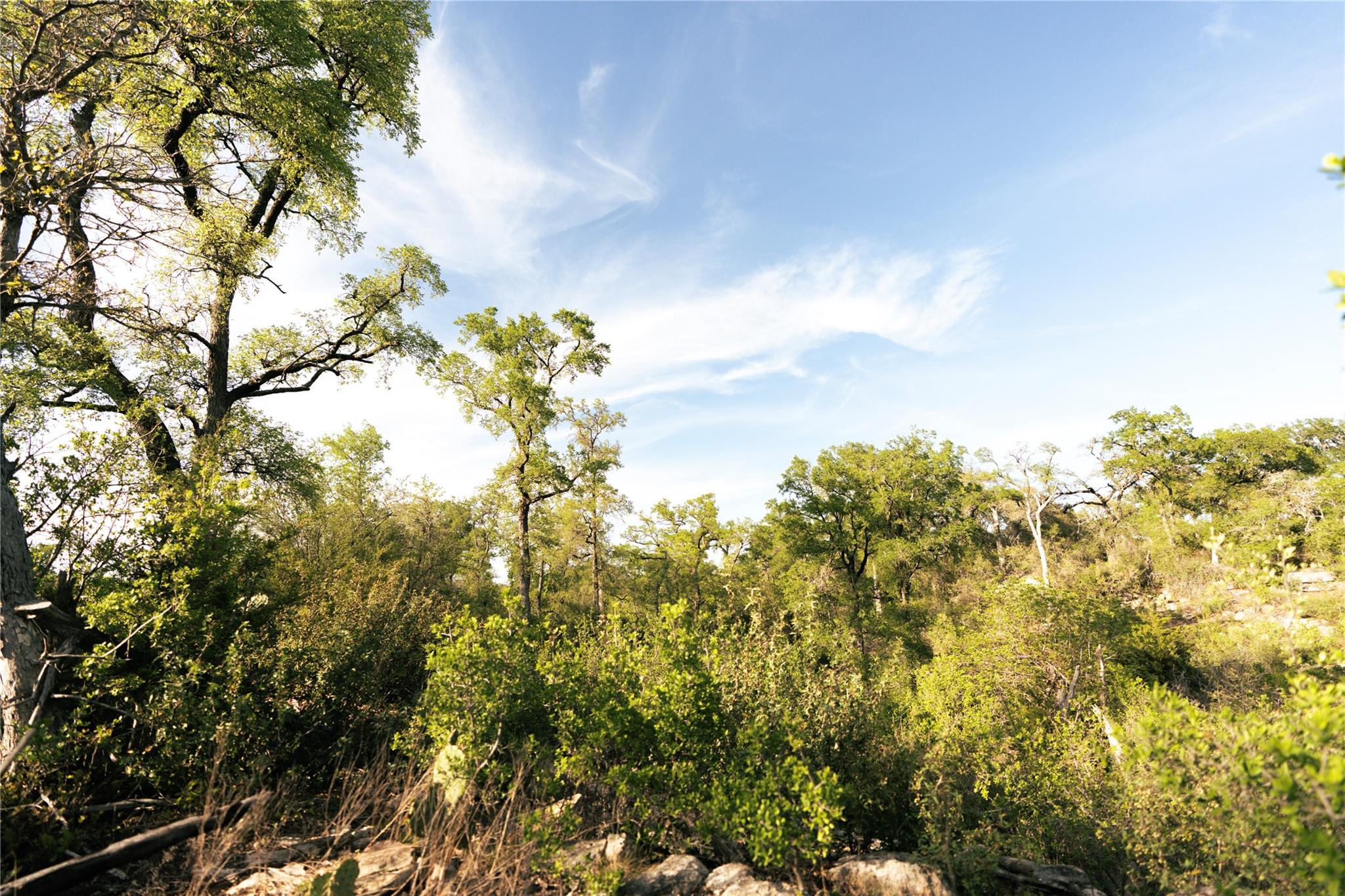 157 Chick Ranch Loop Blanco TX 78606