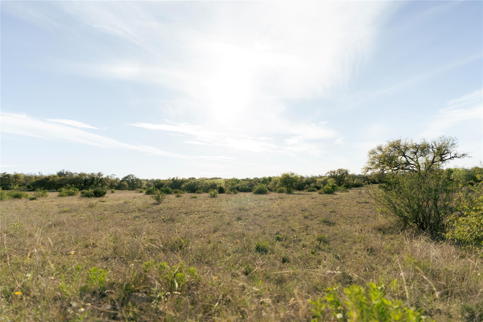 157 Chick Ranch Loop Blanco TX 78606