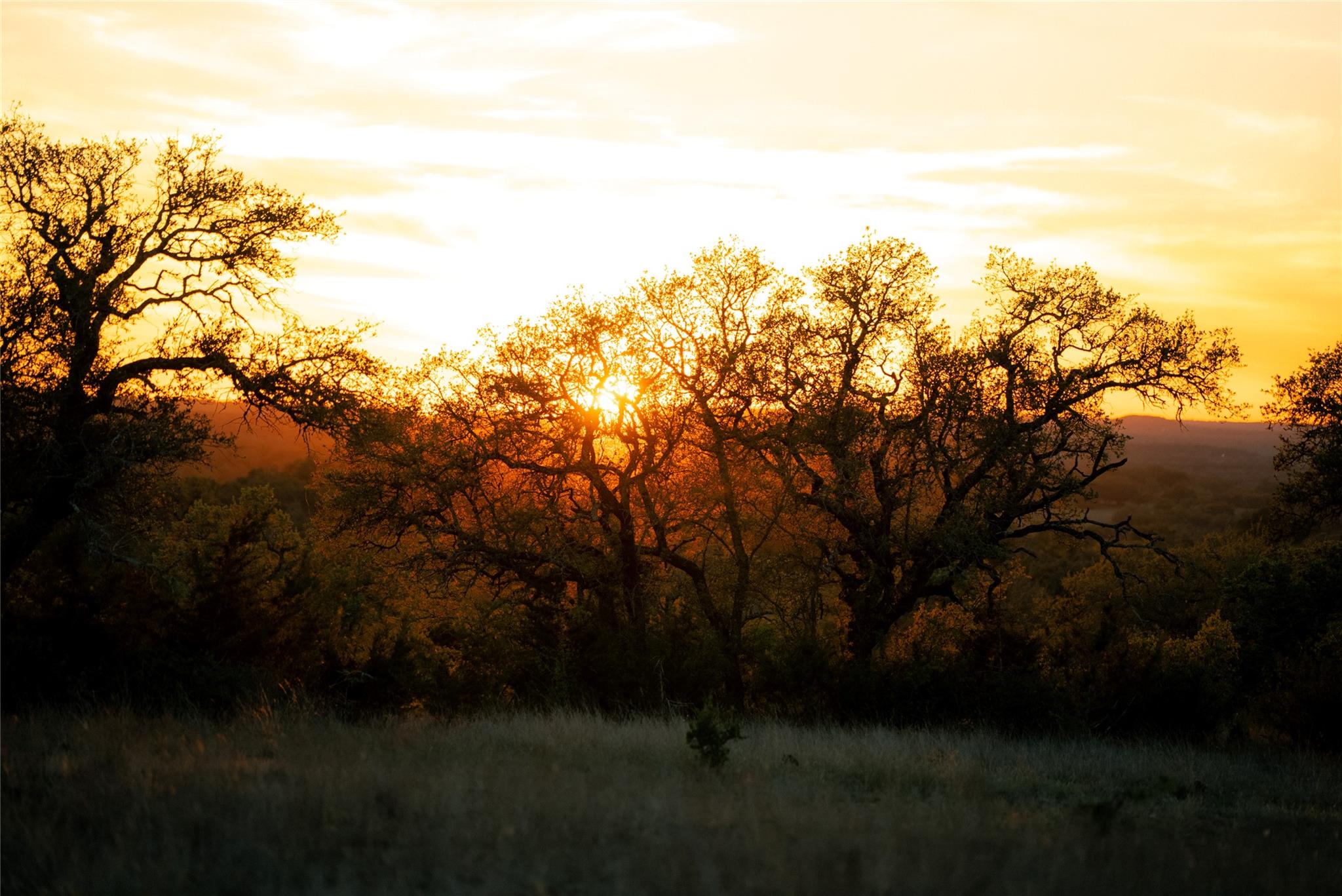 157 Chick Ranch Loop Blanco TX 78606