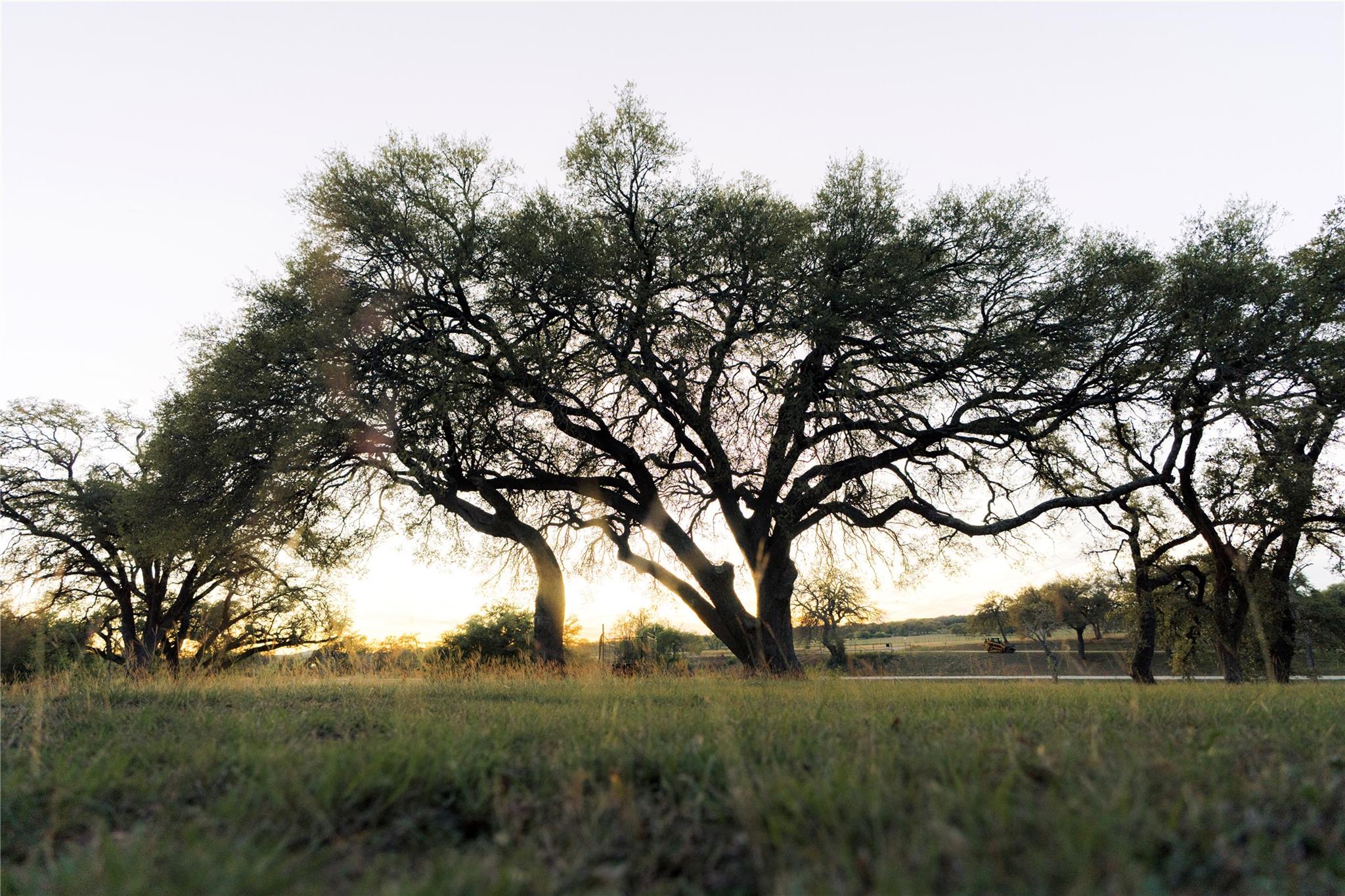 157 Chick Ranch Loop Blanco TX 78606