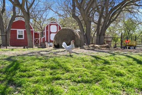 11900 Fm 1660 Hutto TX 78634