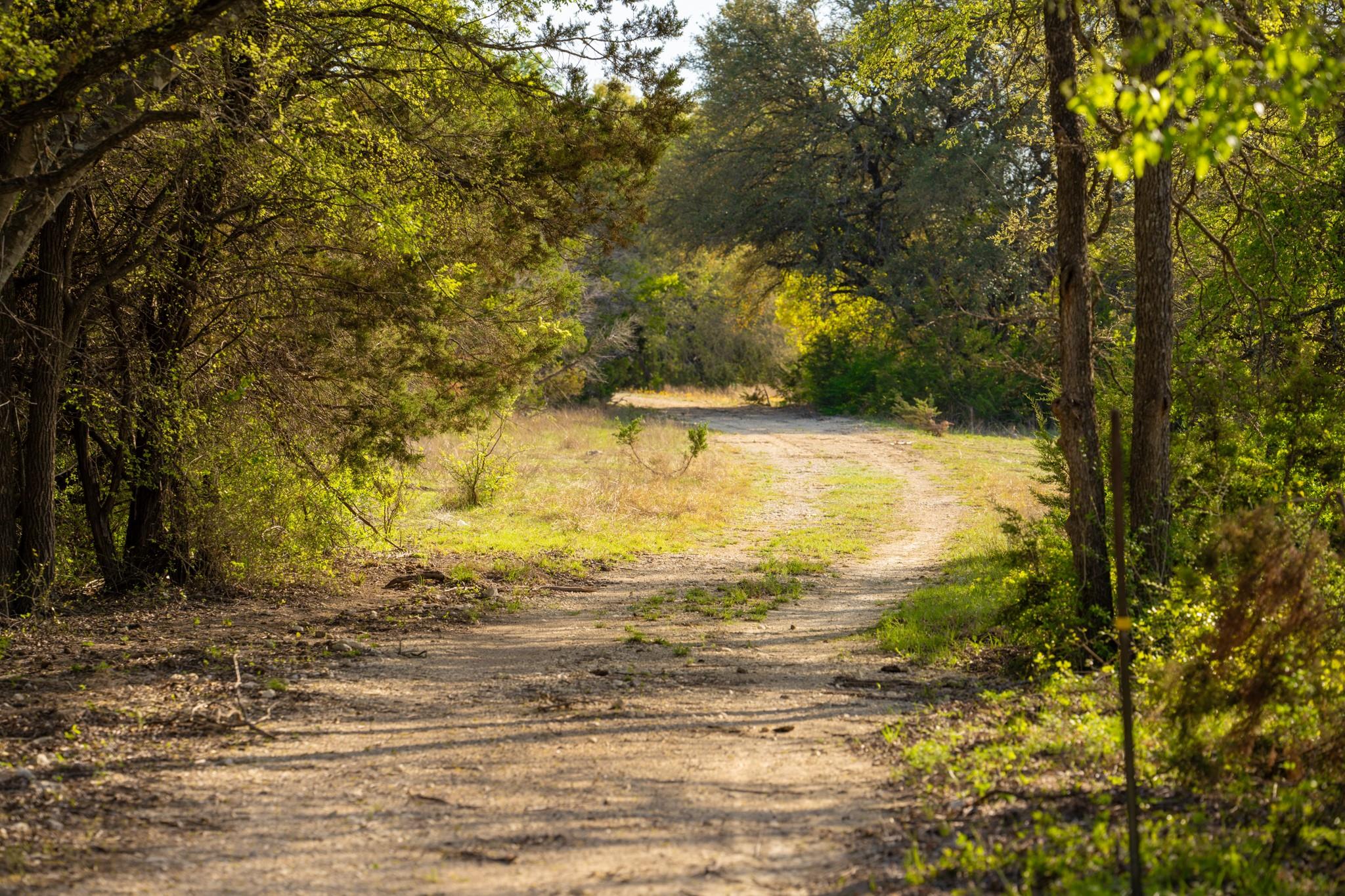 6234 S Fm 1174 Bertram TX 78605