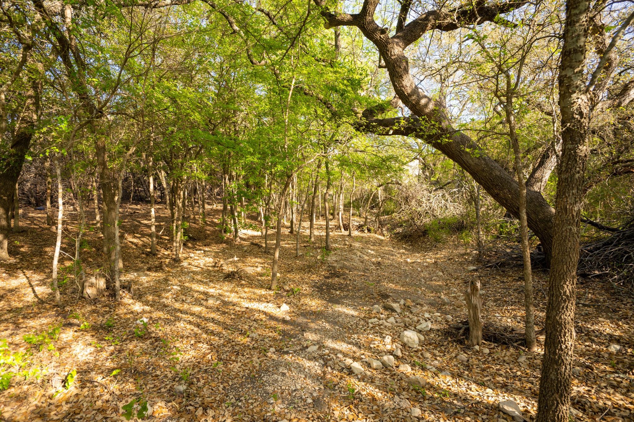 6234 S Fm 1174 Bertram TX 78605