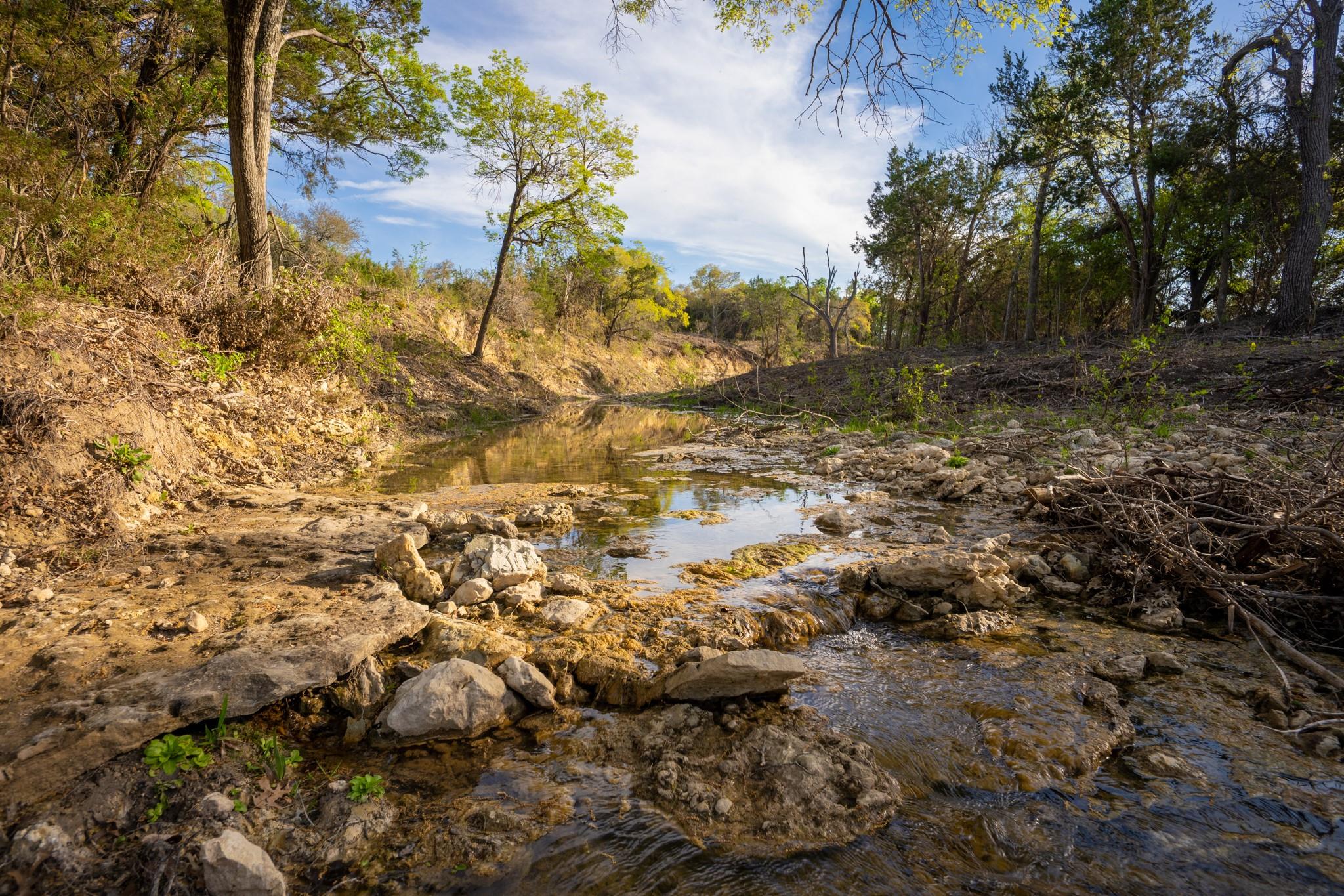 6234 S Fm 1174 Bertram TX 78605